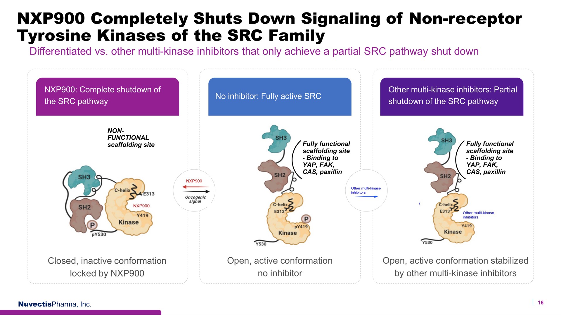 completely shuts down signaling of non receptor tyrosine kinases of the family | Nuvectis Pharma