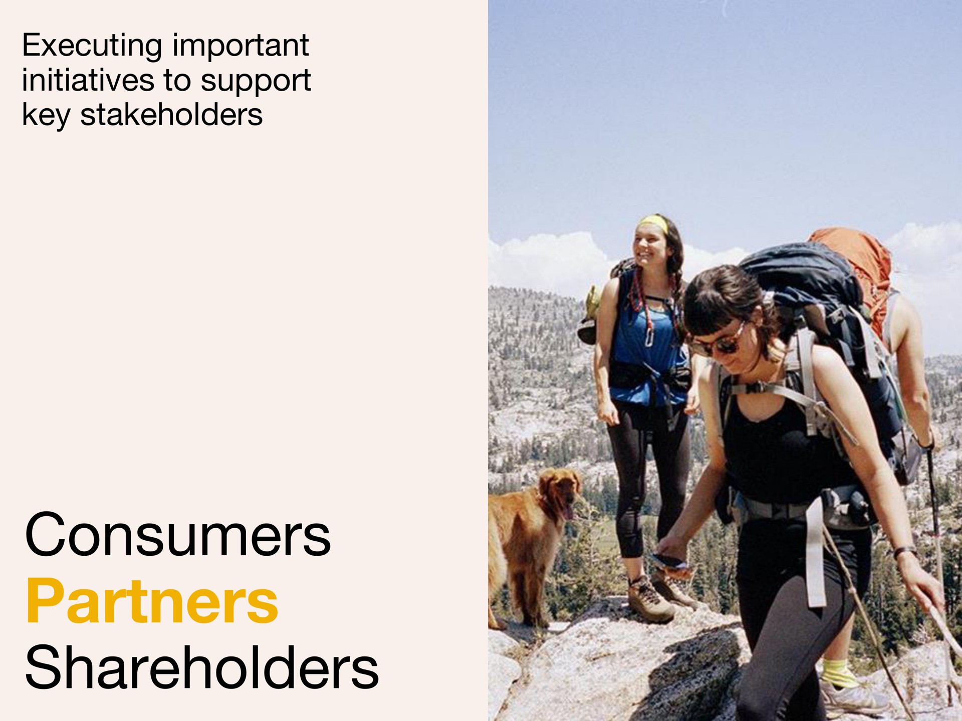consumers partners shareholders | Tripadvisor