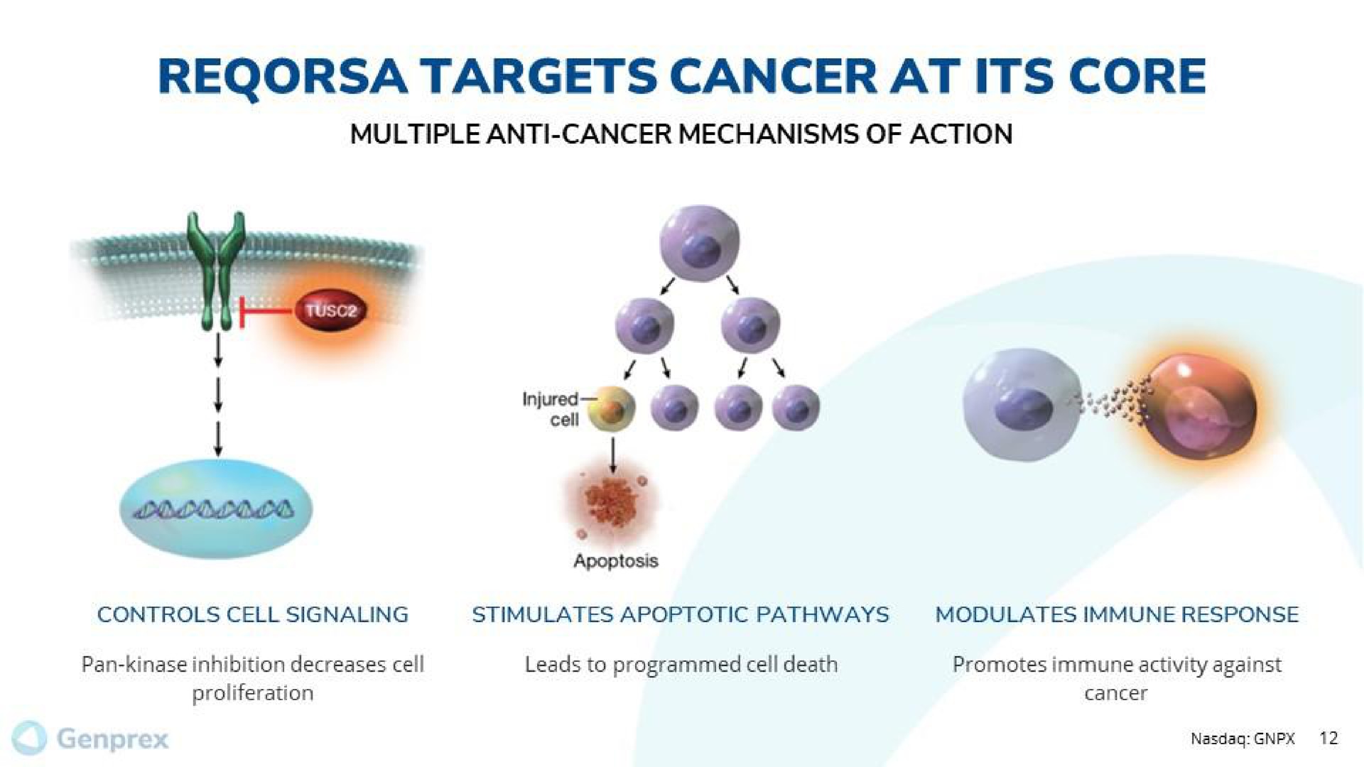 targets cancer at its core | Genprex