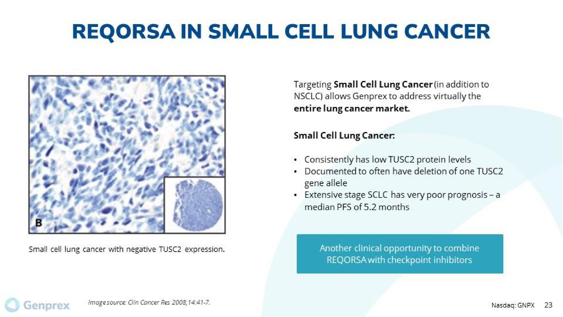in small cell lung cancer | Genprex