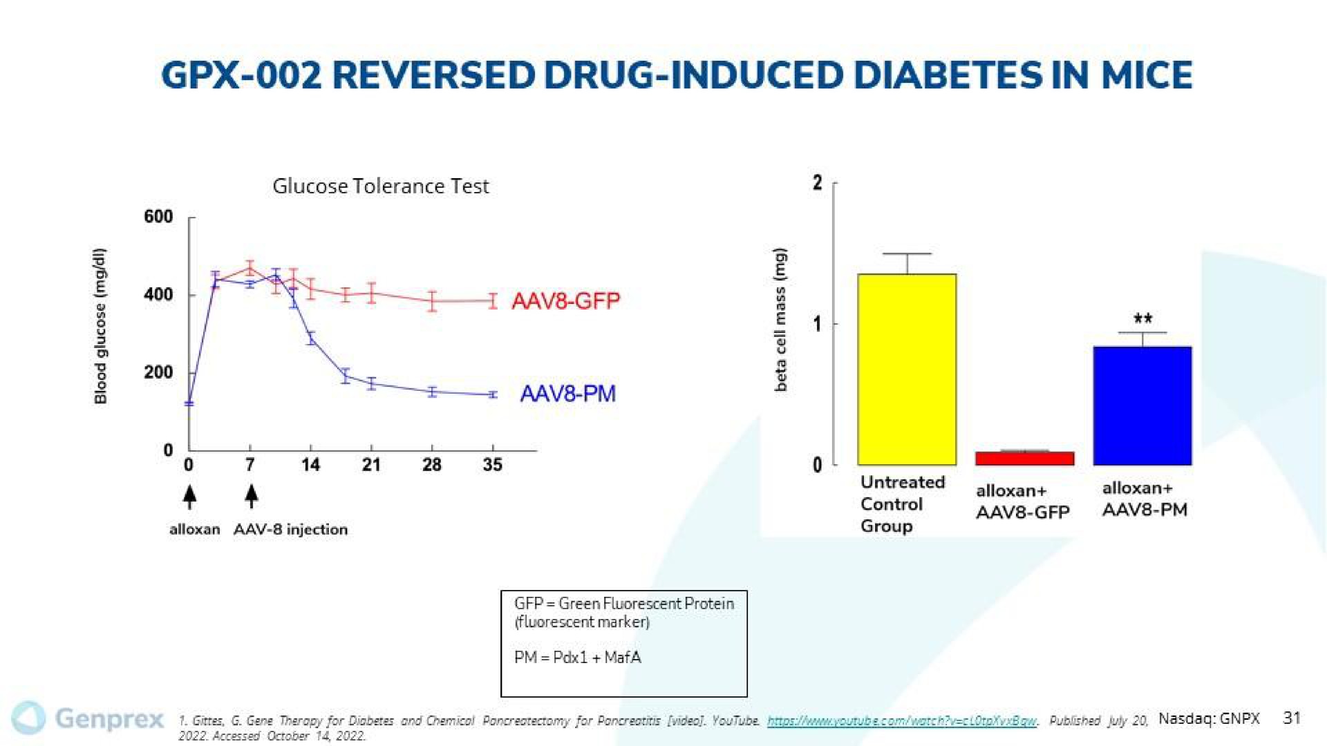reversed drug induced diabetes in mice | Genprex
