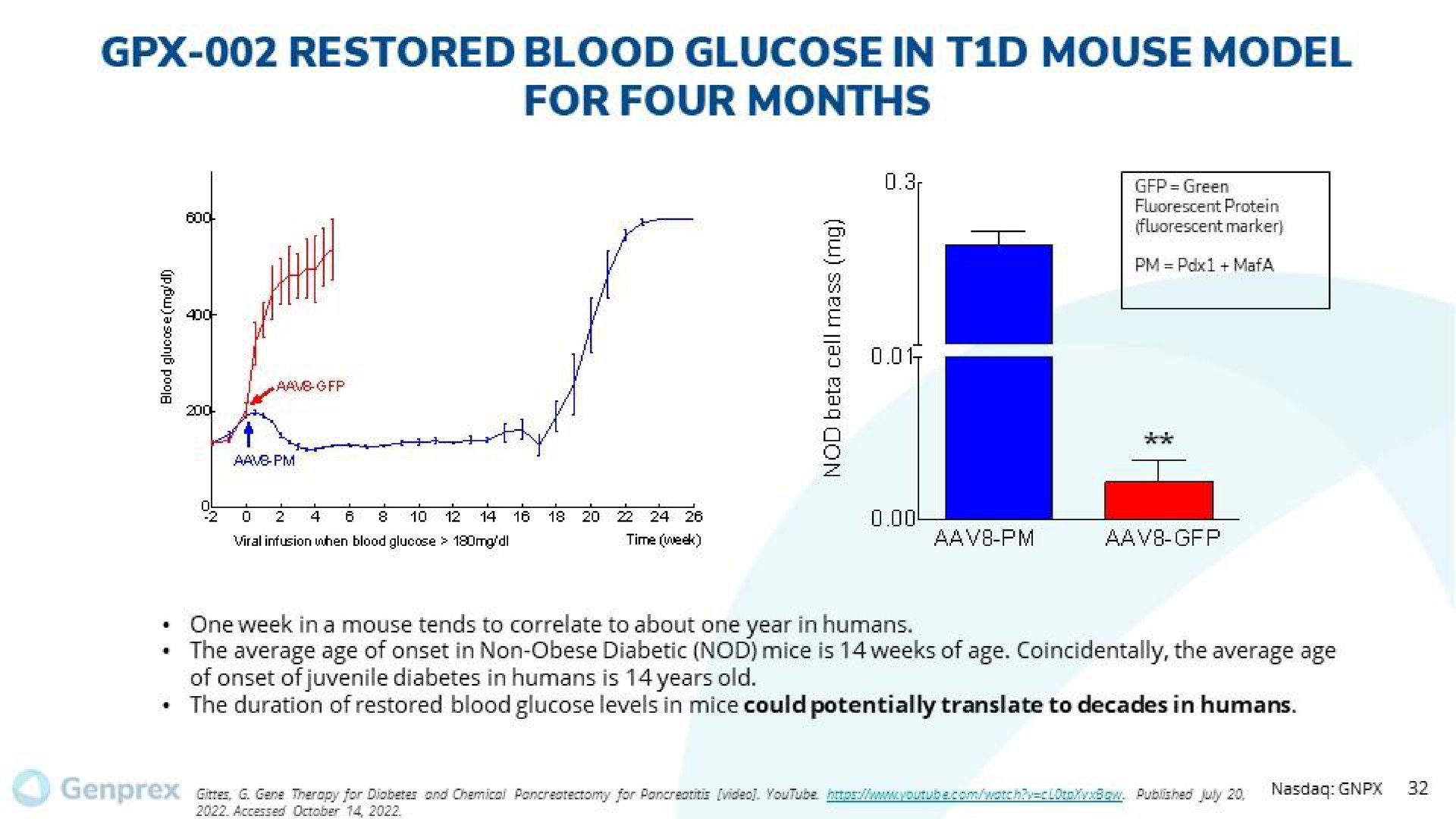 restored blood glucose in mouse model for four months | Genprex
