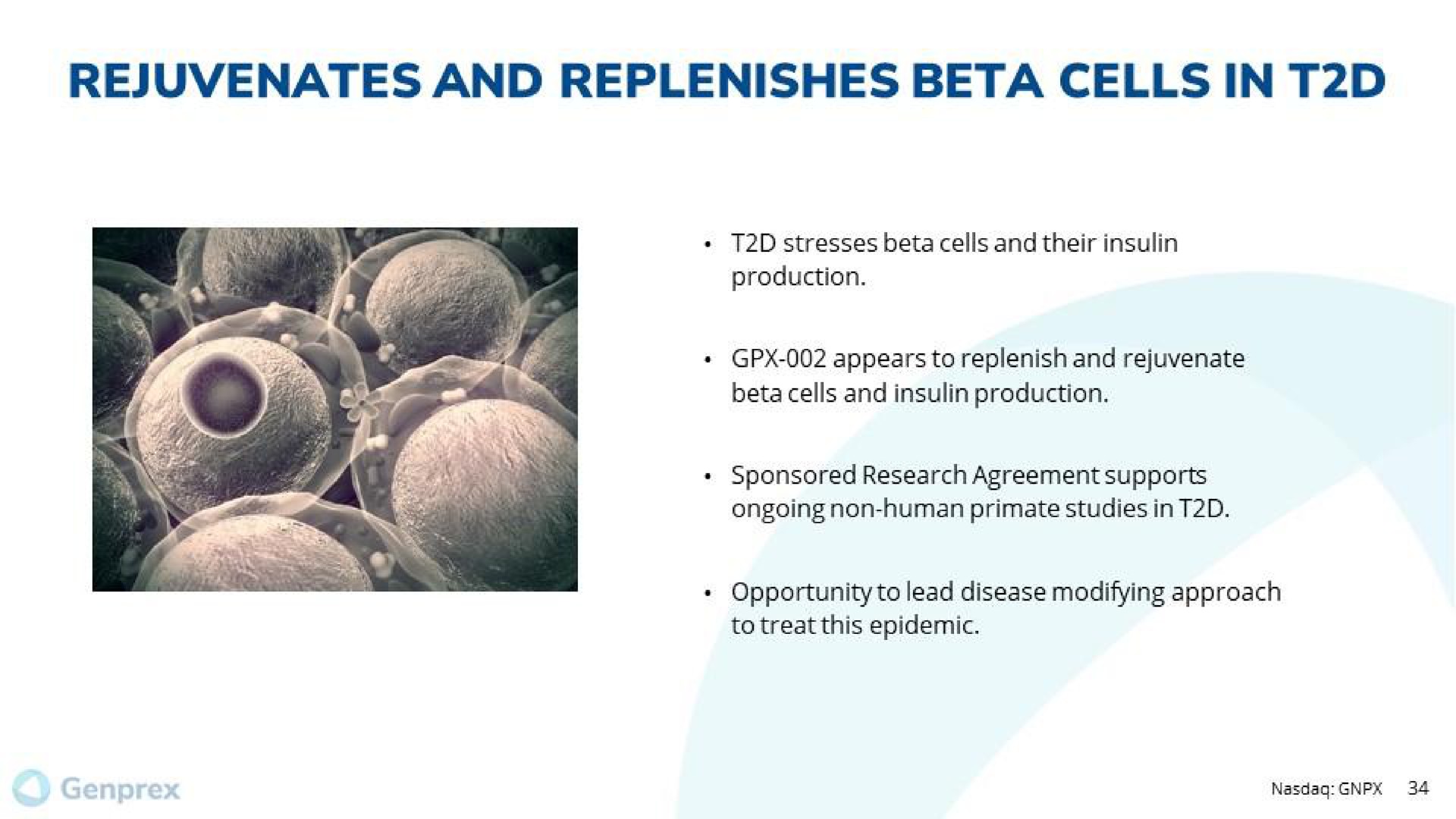 rejuvenates and replenishes beta cells in | Genprex
