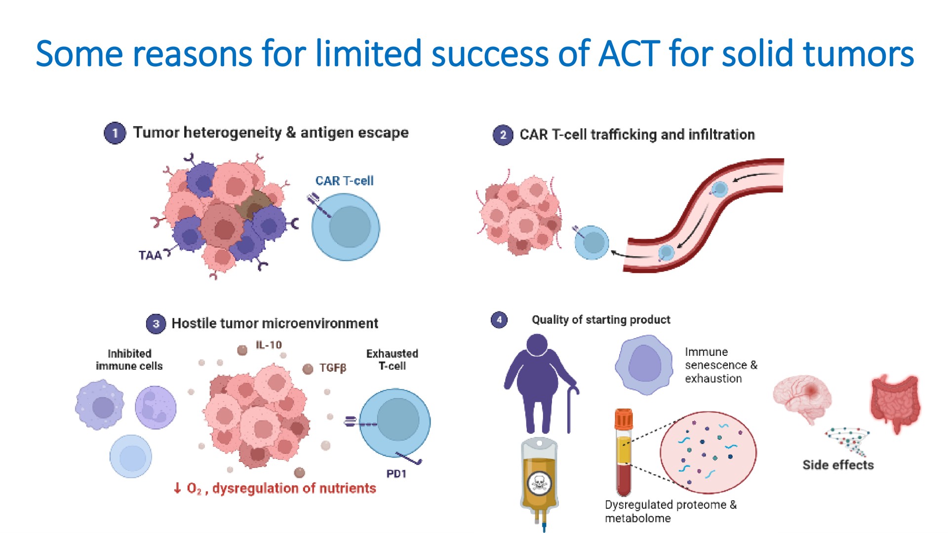 some reasons for limited success of act for solid tumors | Mink Therapeutics