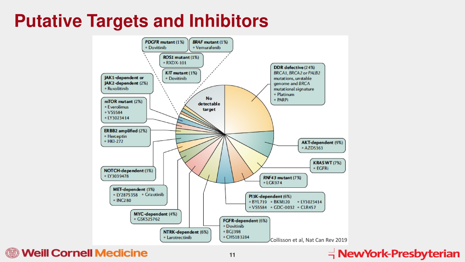 putative targets and inhibitors medicine | Mink Therapeutics