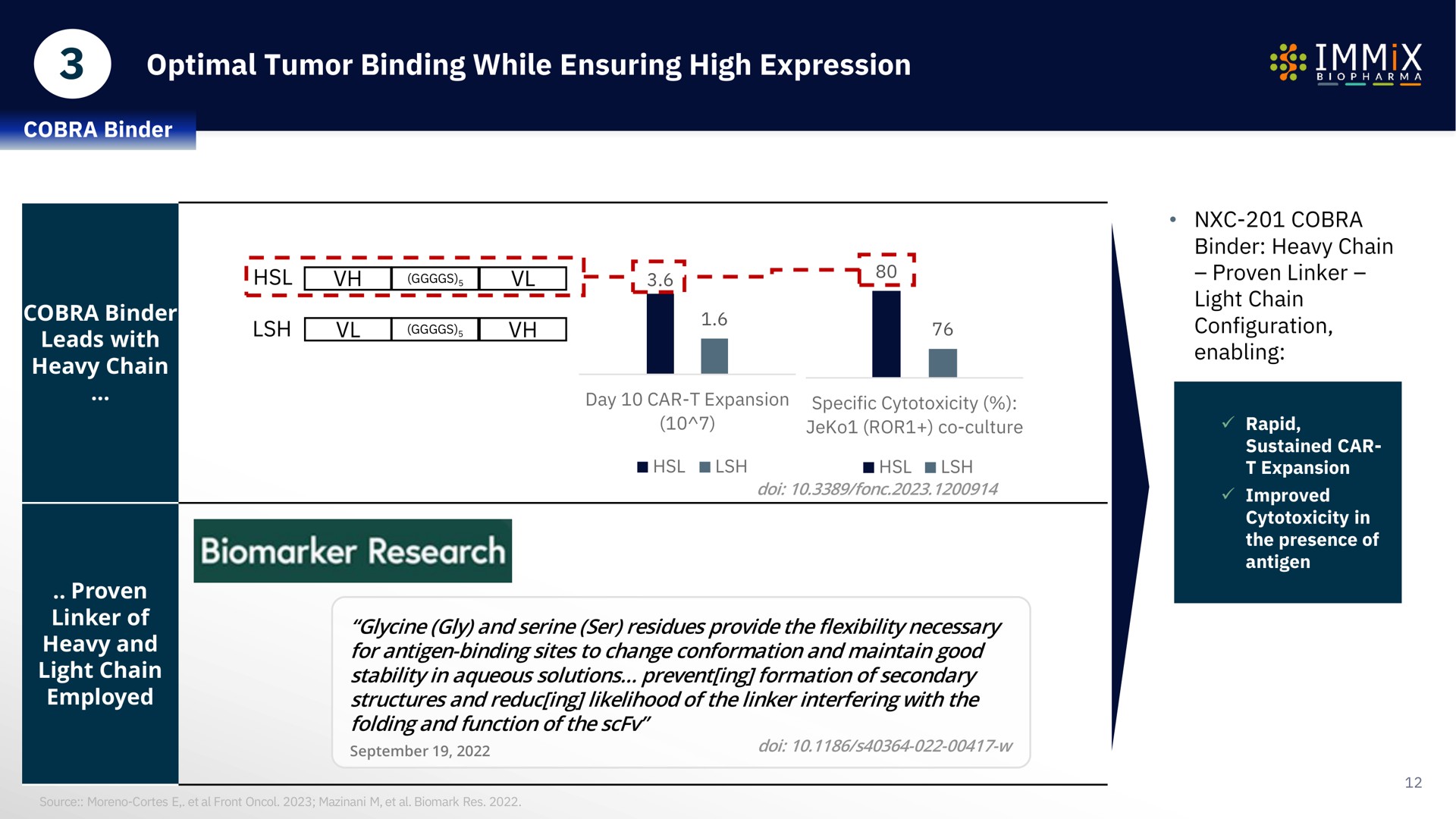 optimal tumor binding while ensuring high expression research | Immix Biopharma