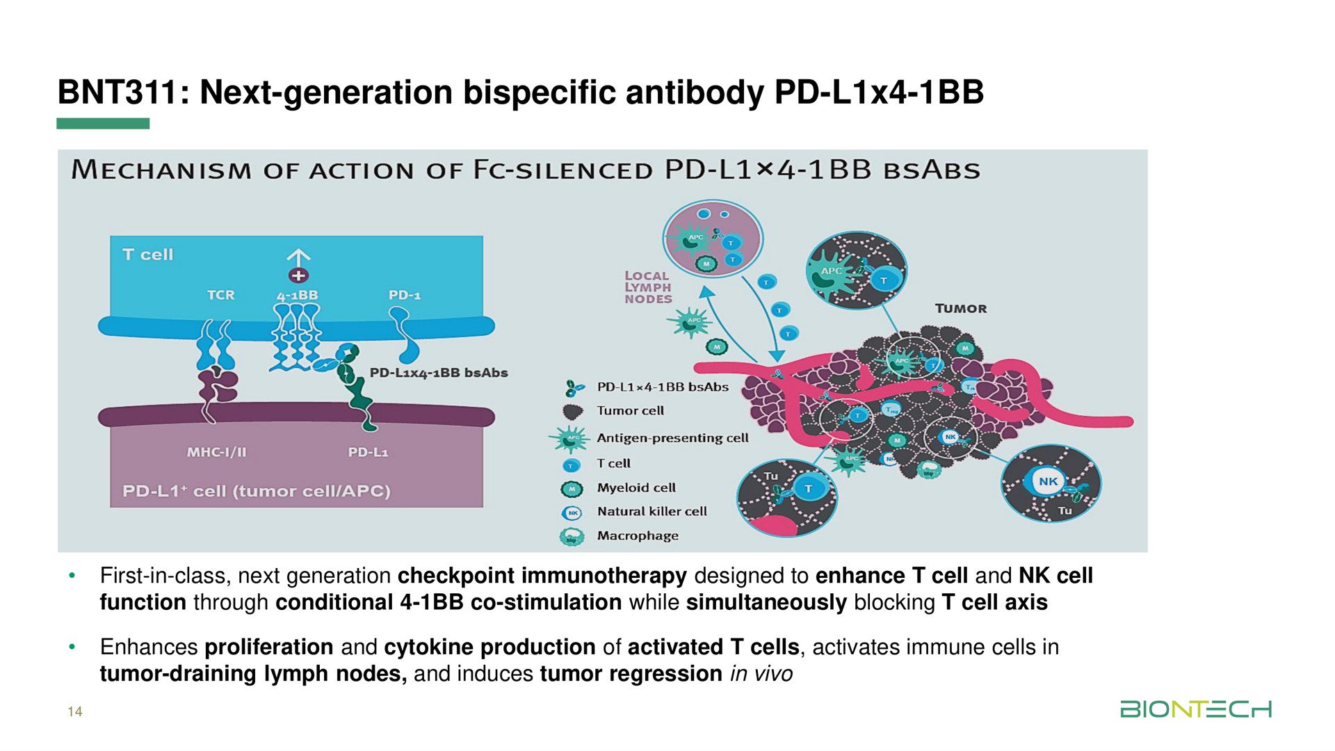 next generation antibody | BioNTech