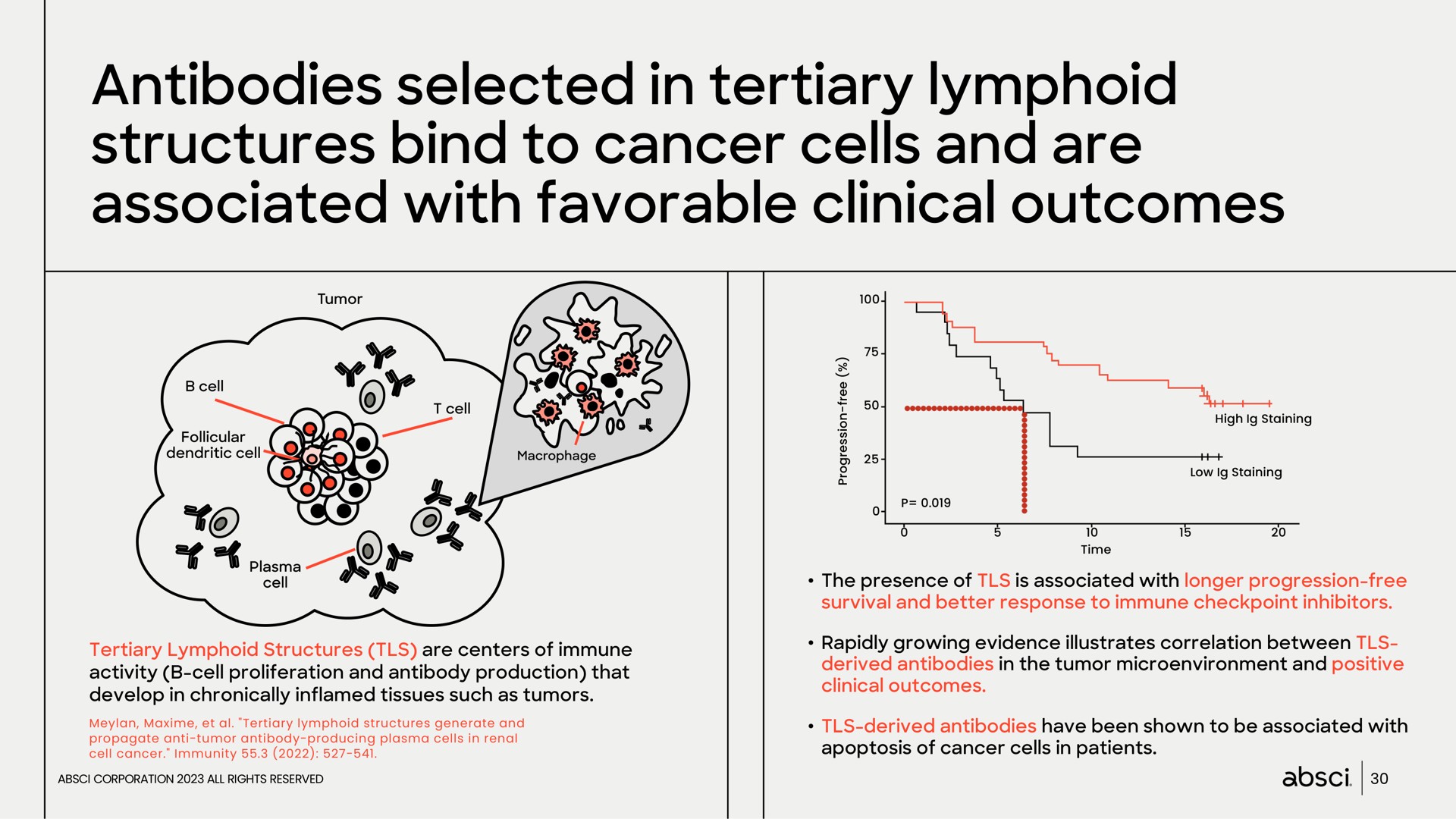 antibodies selected in tertiary lymphoid structures bind to cancer cells and are associated with favorable clinical outcomes | Absci