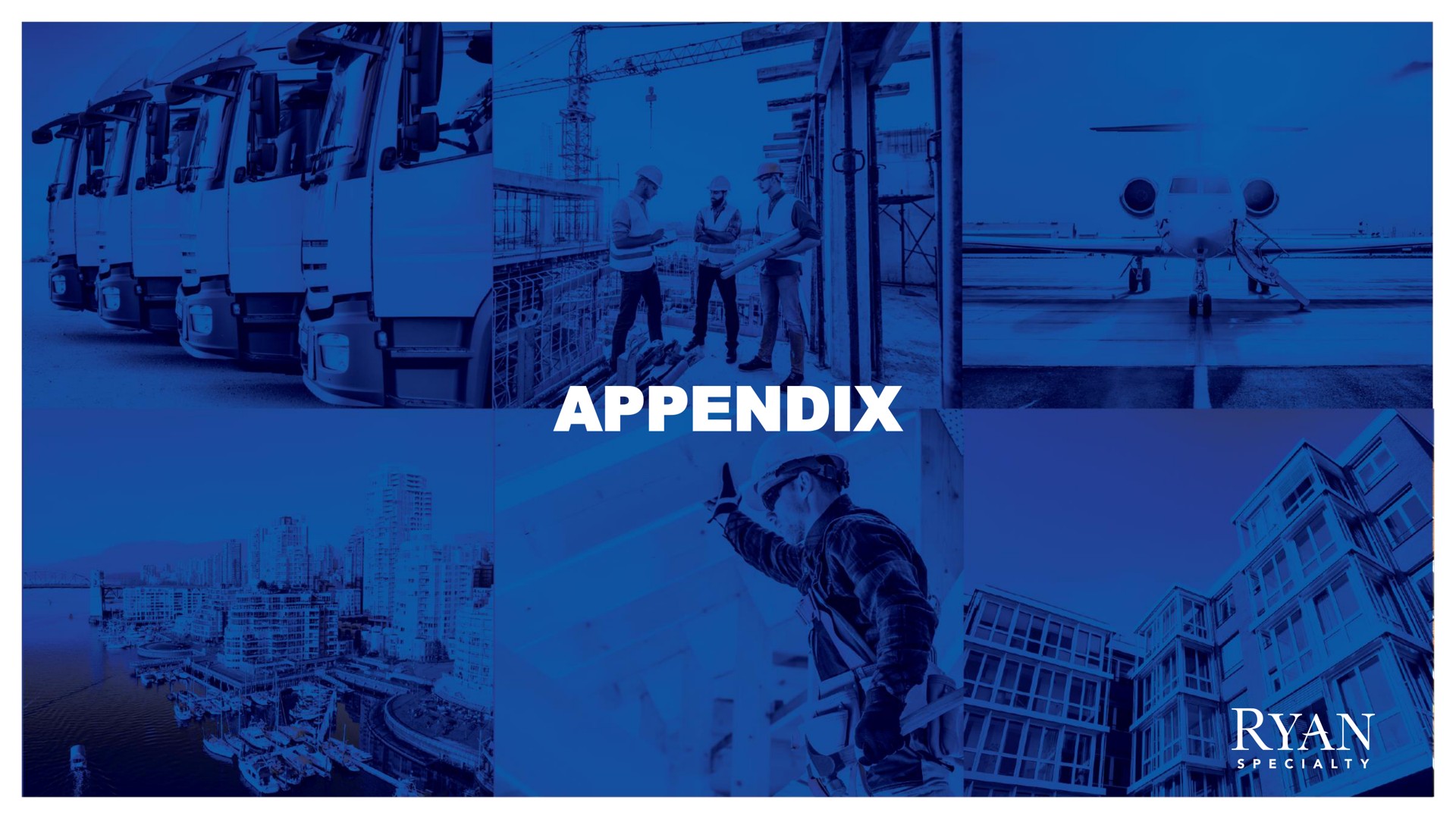 appendix | Rayan Speciality Group