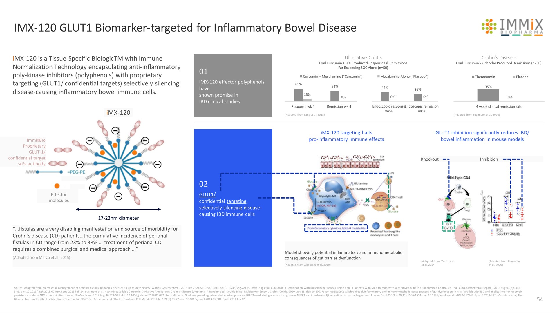glut targeted for inflammatory bowel disease immix | Immix Biopharma
