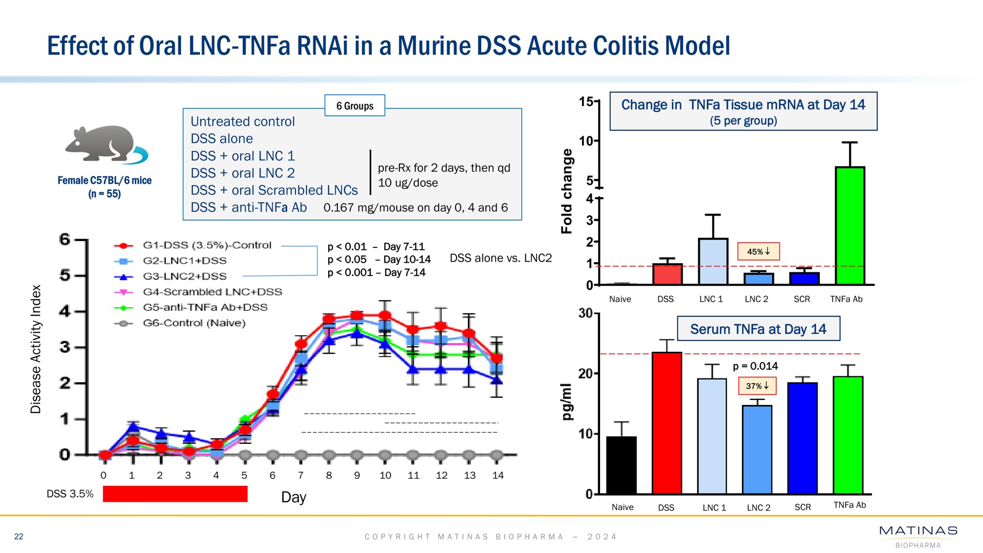 effect of oral in a murine acute colitis model oss i | Matinas BioPharma