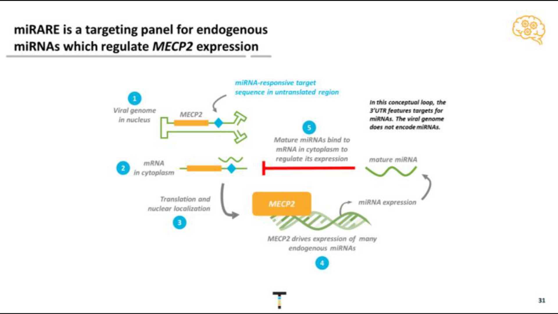 is a targeting panel for endogenous which regulate expression | Taysha