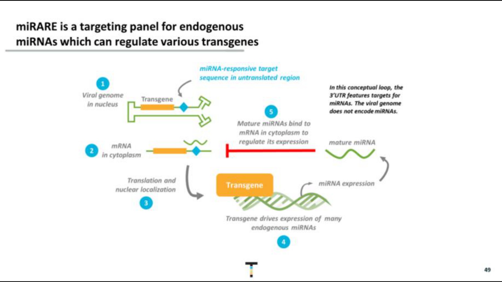 is a targeting panel for endogenous which can regulate various | Taysha