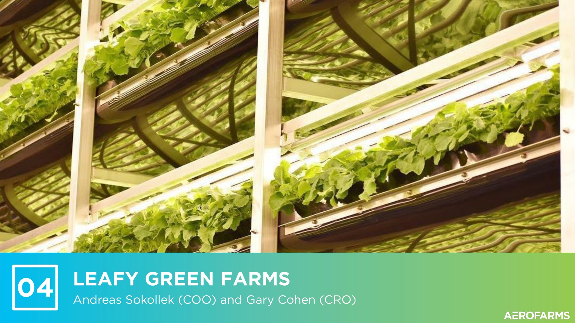 leafy green farms | AeroFarms