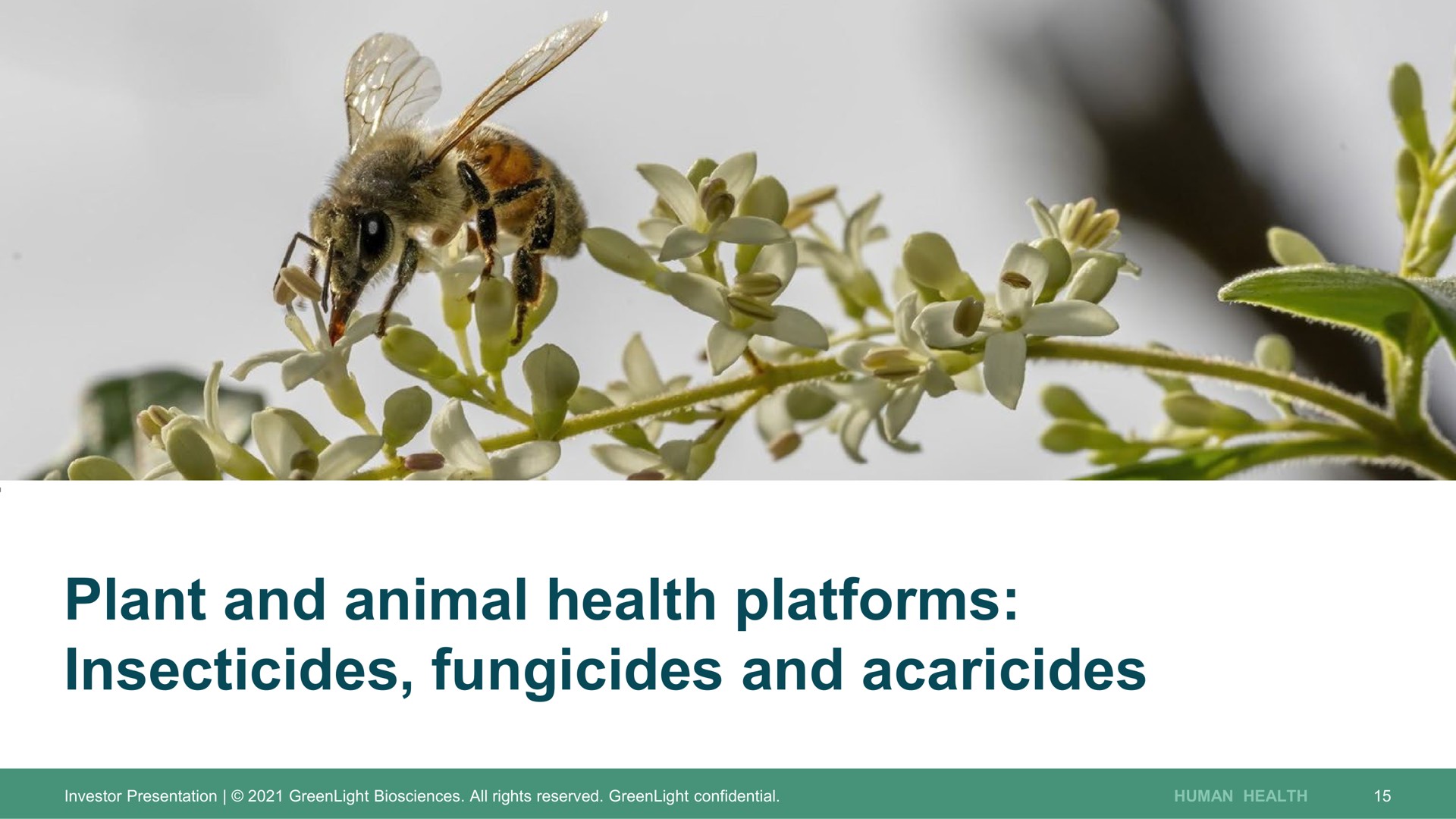 plant and animal health platforms insecticides fungicides and acaricides | GreenLight
