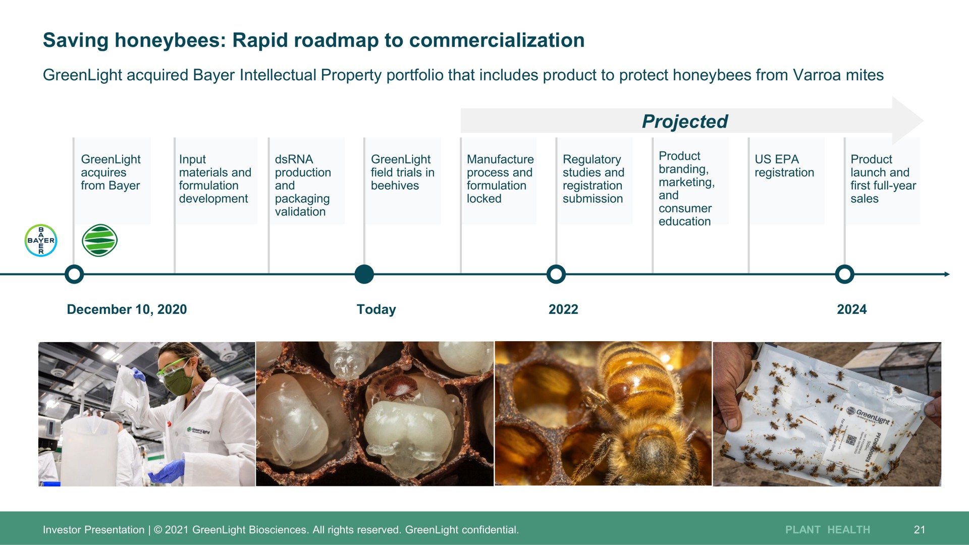 saving honeybees rapid to commercialization projected | GreenLight