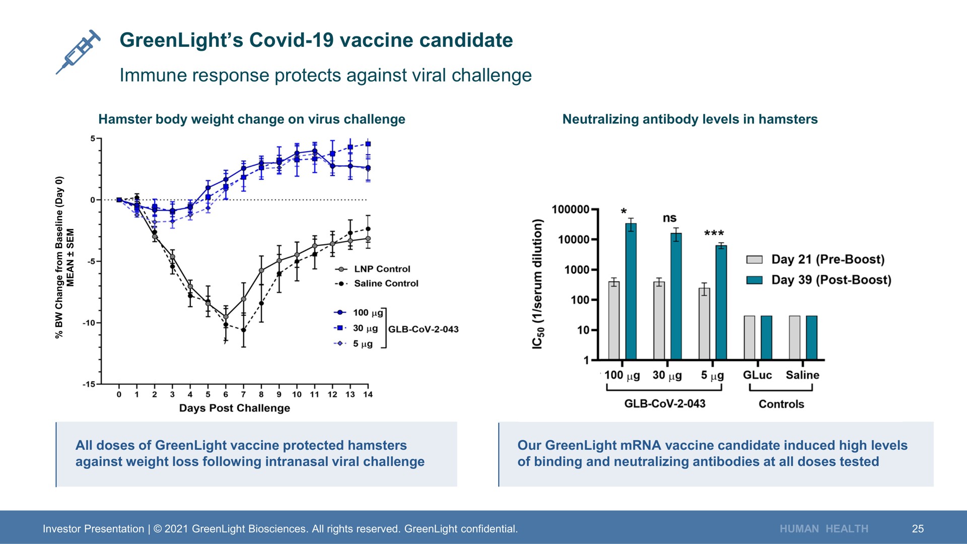 covid vaccine candidate immune response protects against viral challenge | GreenLight