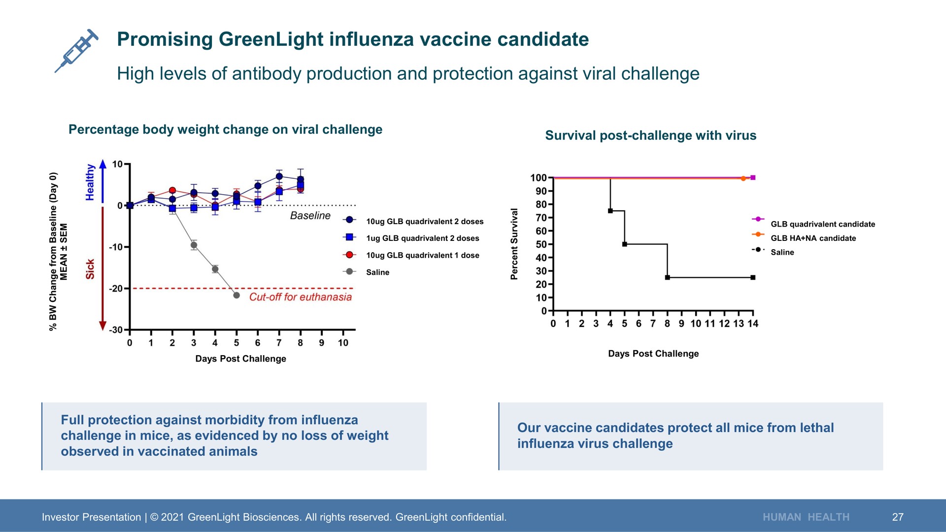 promising influenza vaccine candidate high levels of antibody production and protection against viral challenge | GreenLight