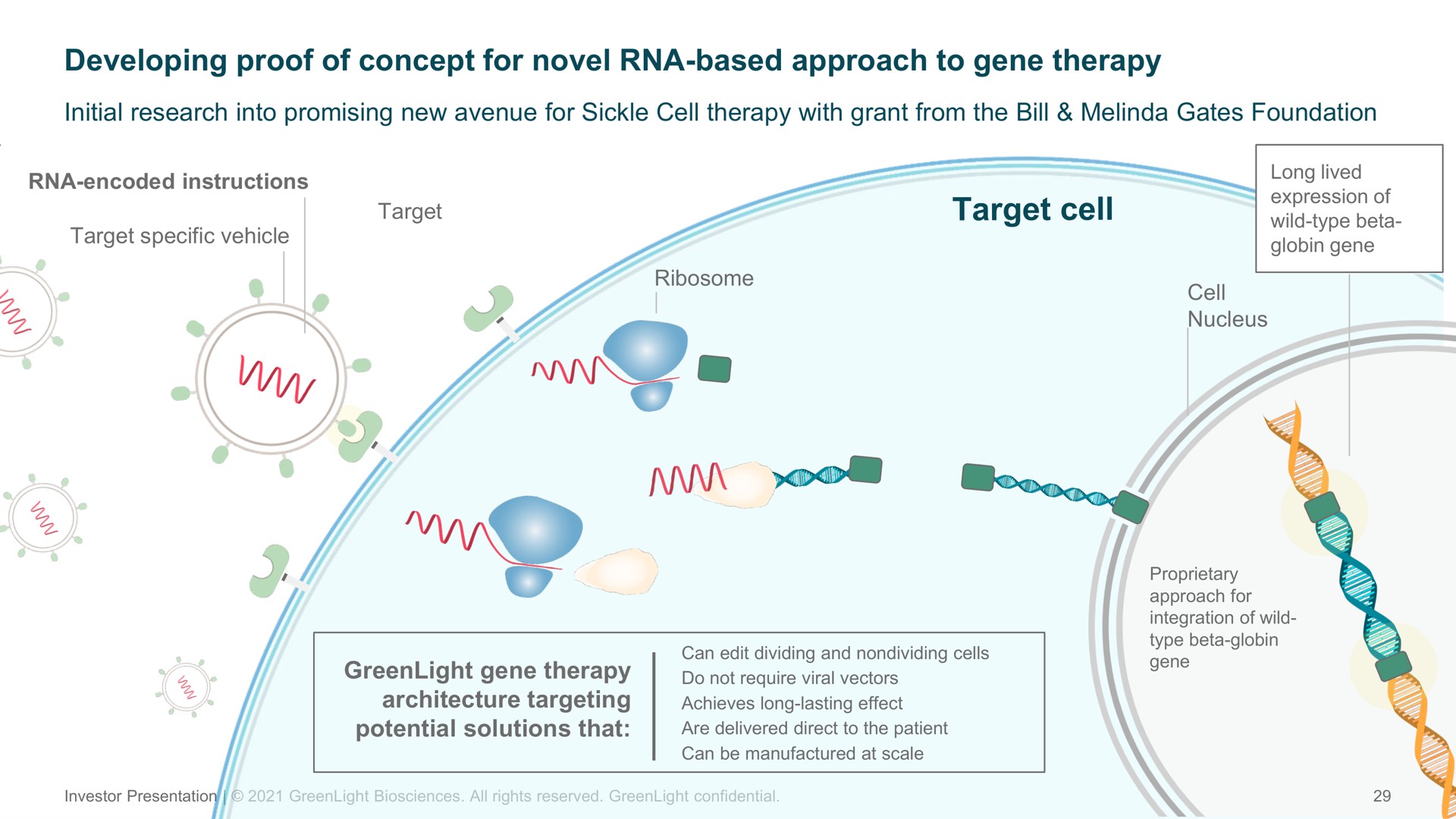 developing proof of concept for novel based approach to gene therapy | GreenLight