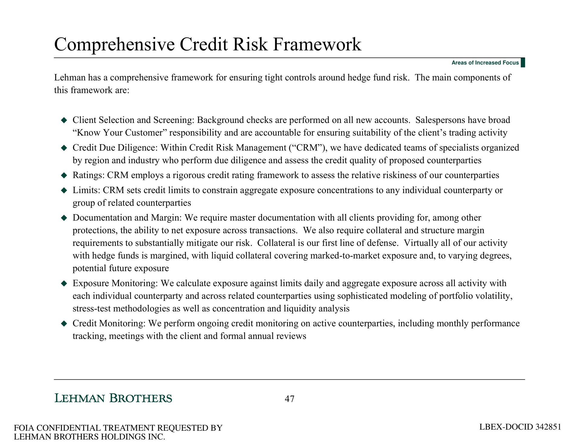 comprehensive credit risk framework | Lehman Brothers