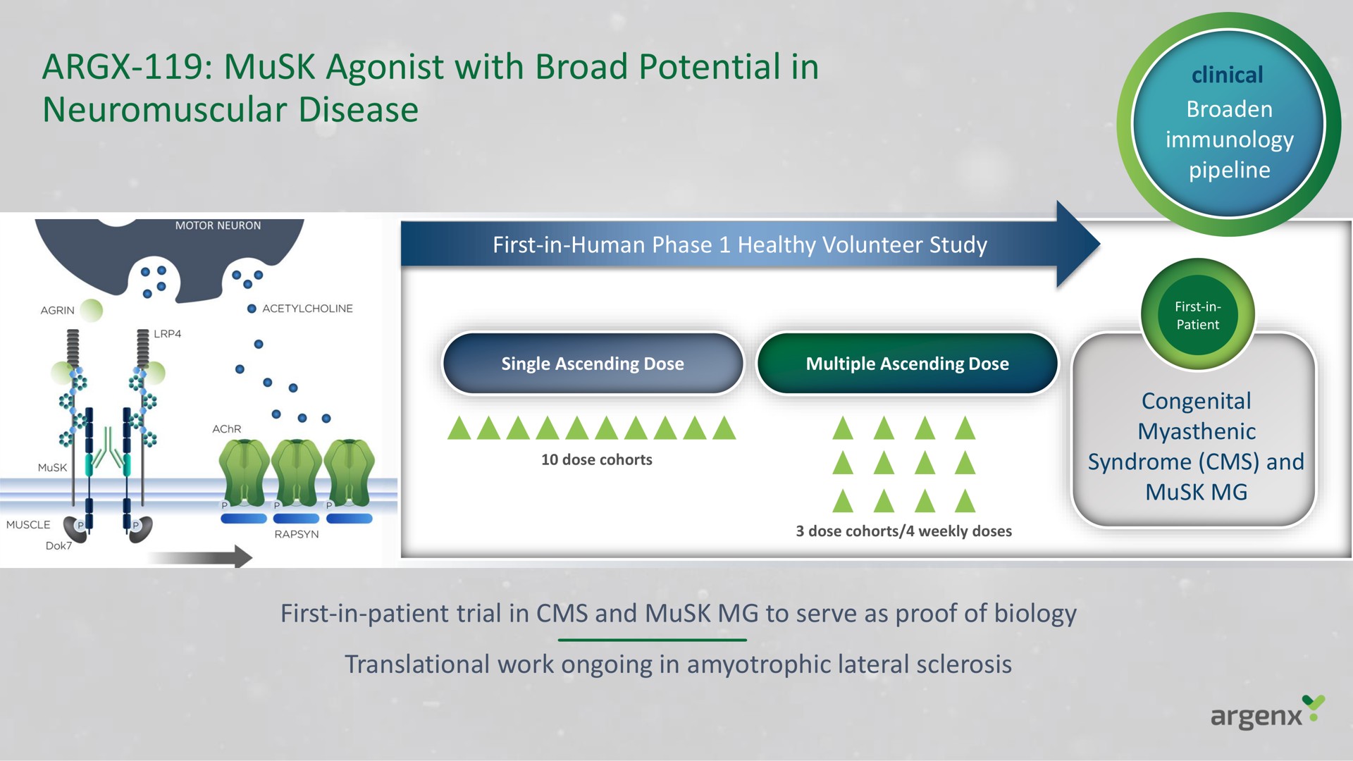 musk agonist with broad potential in neuromuscular disease | argenx SE