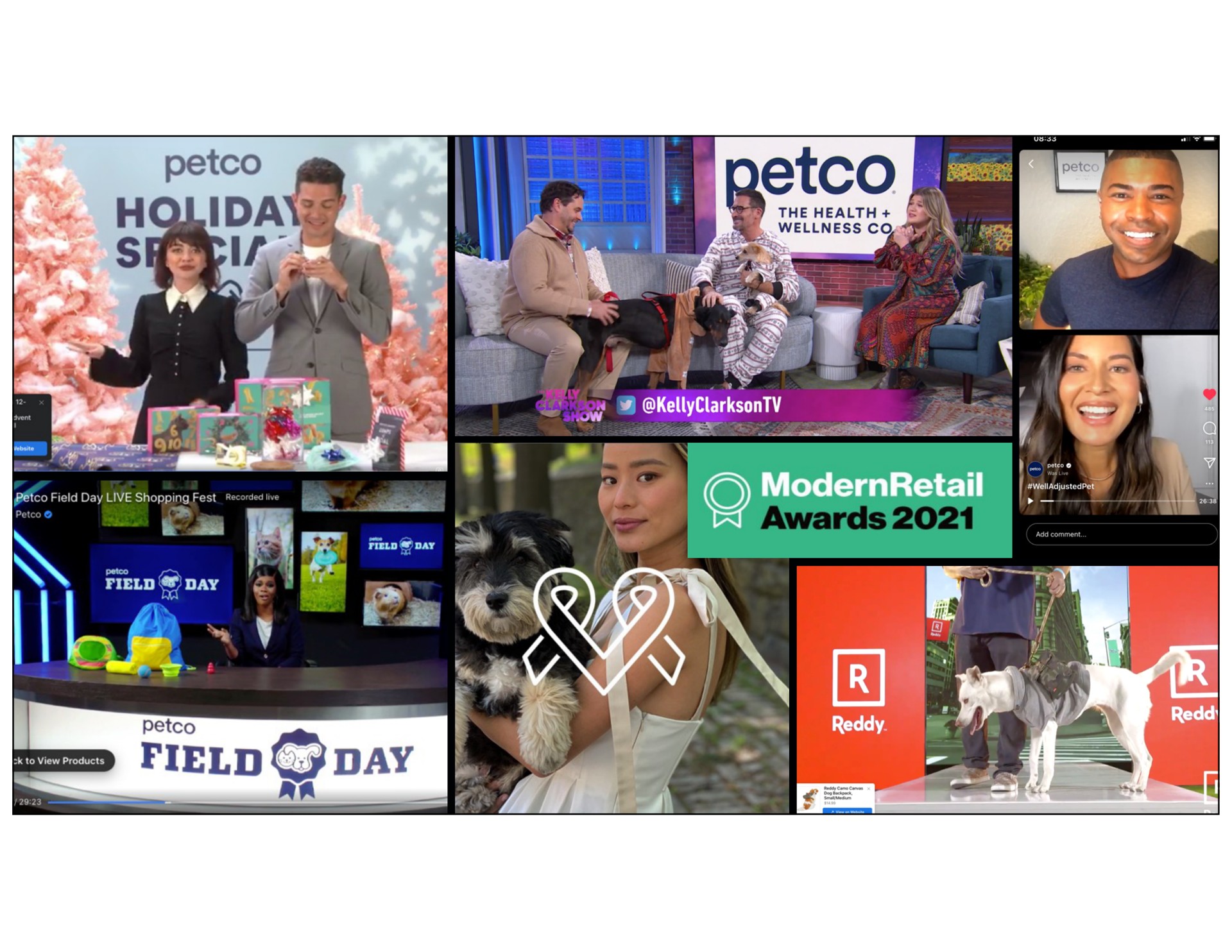 the health wellness a field day live shopping fest am ree a field day | Petco