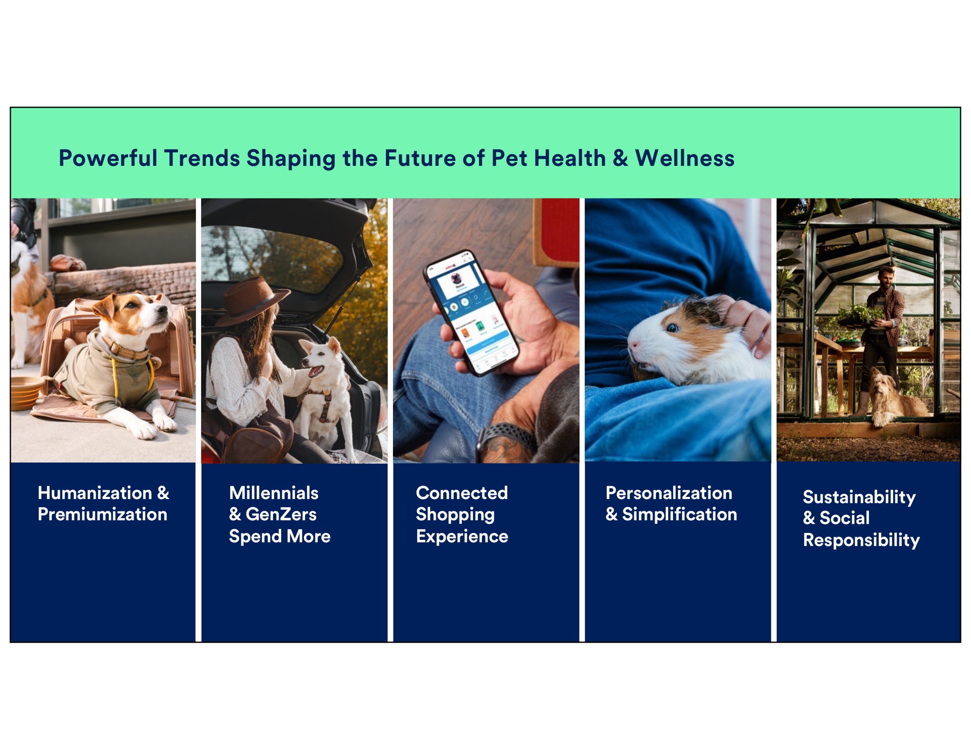 powerful trends shaping the future of pet health wellness responsibility spend more connected shopping experience personalization simplification social | Petco
