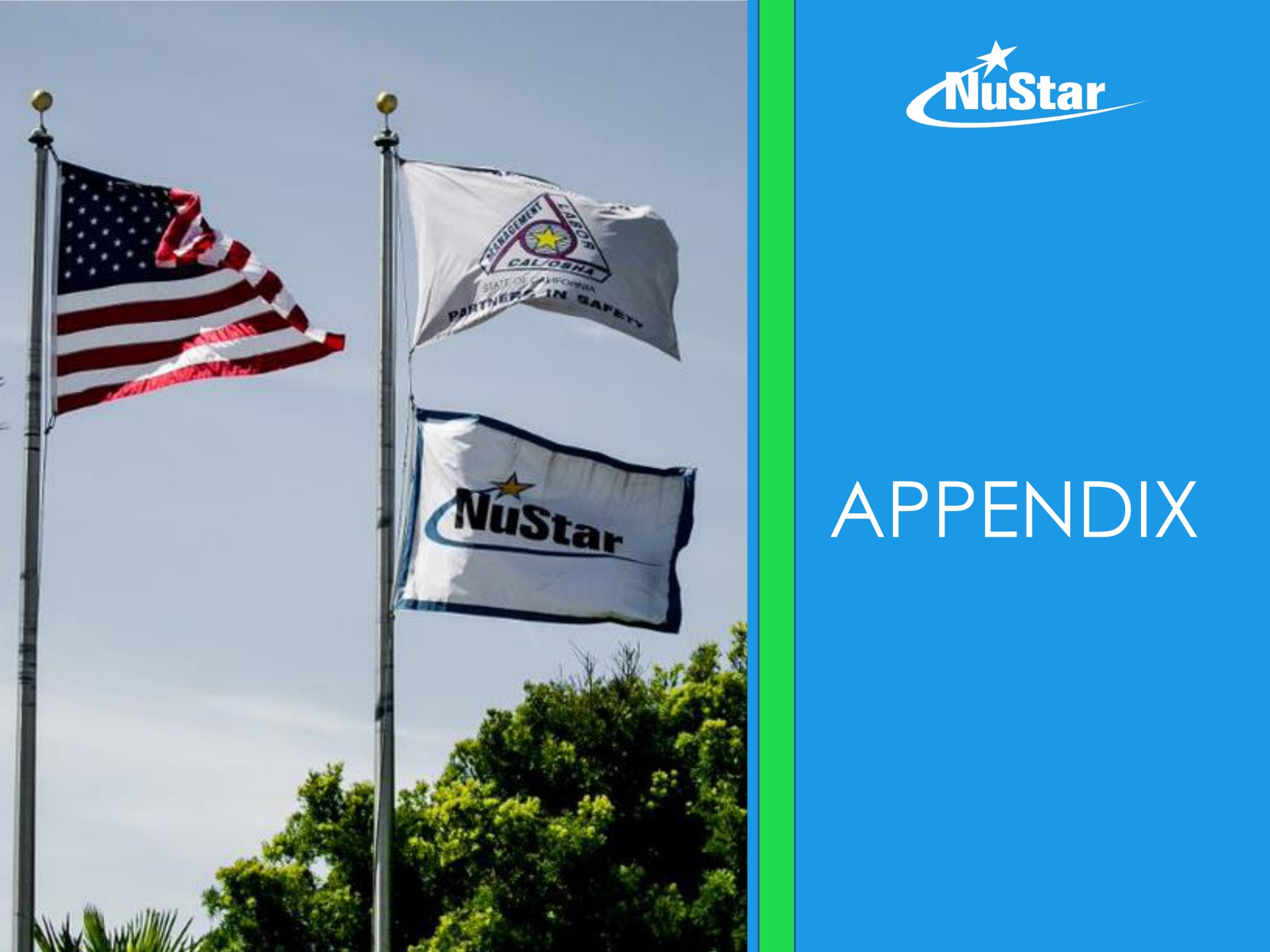 appendix | NuStar Energy