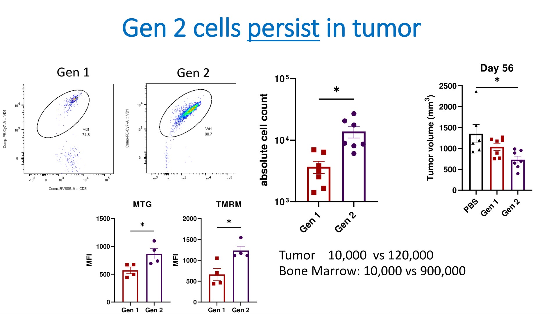 gen cells persist in tumor | Mink Therapeutics