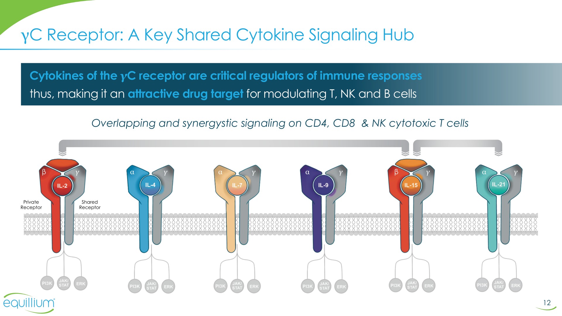 receptor a key shared signaling hub | Equillium