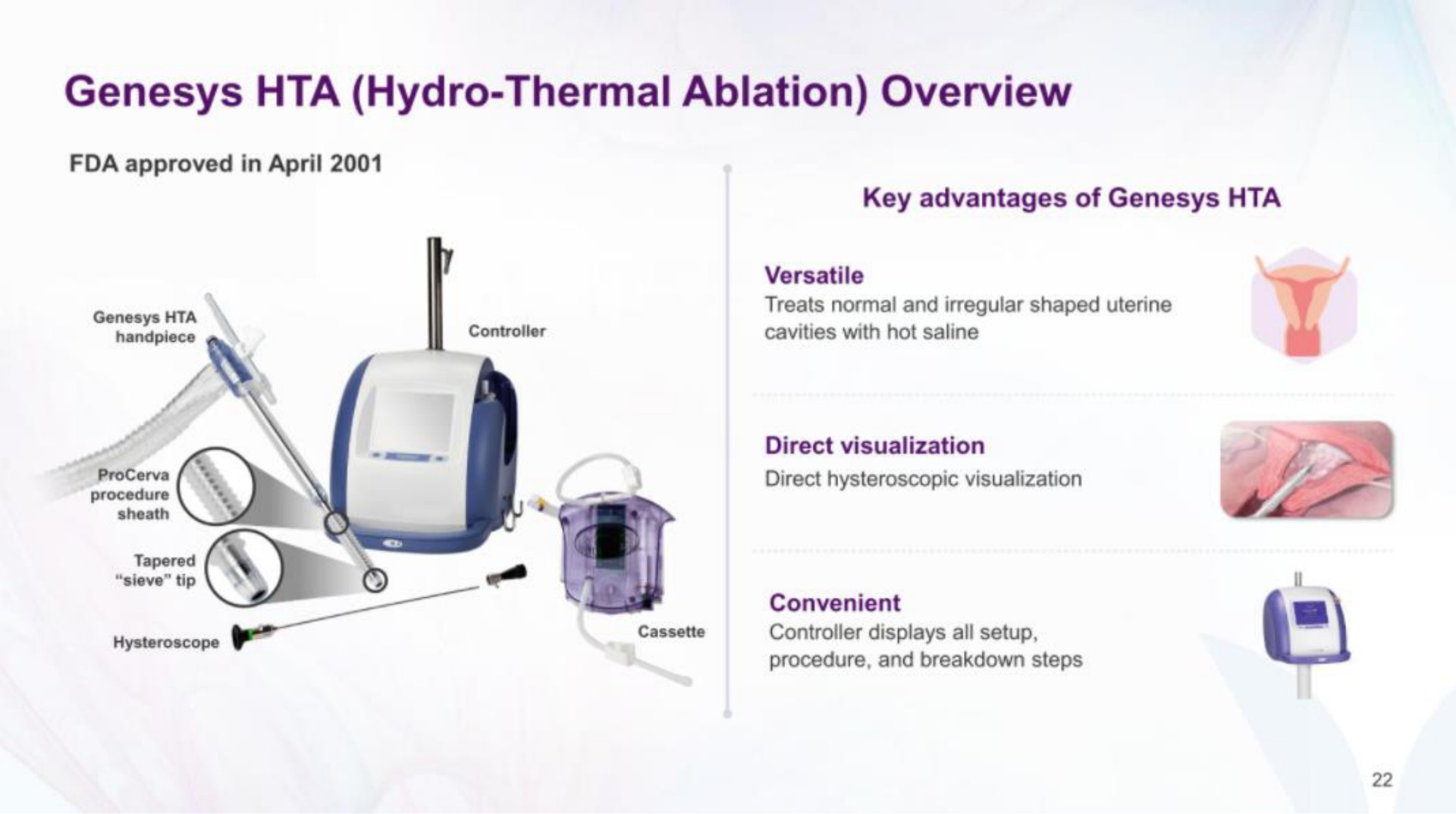 hydro thermal ablation overview | Minerva