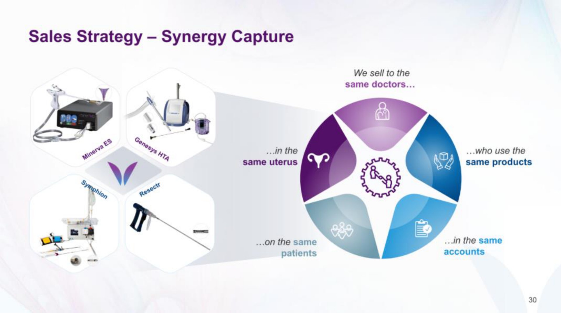 sales strategy synergy capture | Minerva