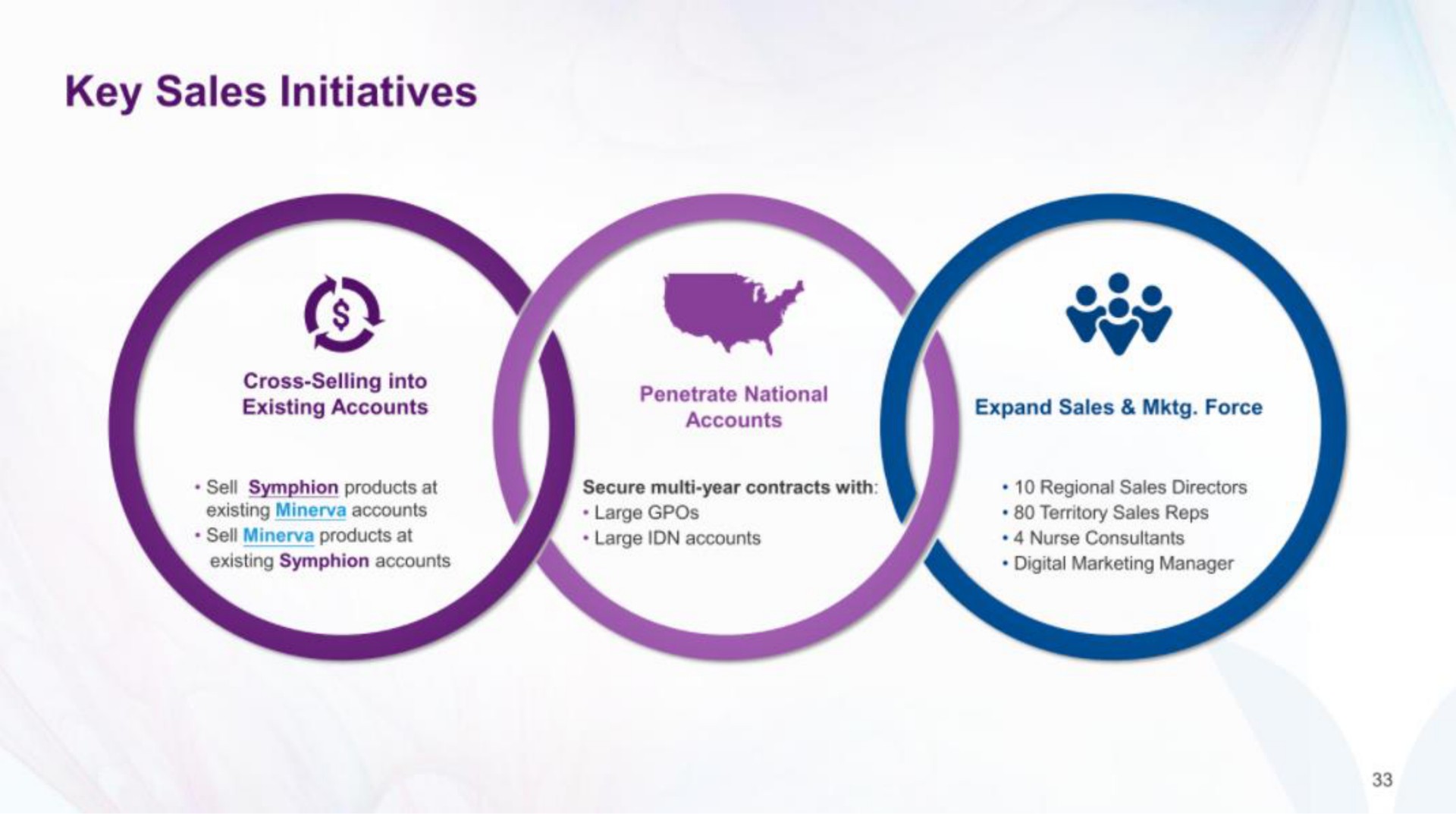 key sales initiatives | Minerva