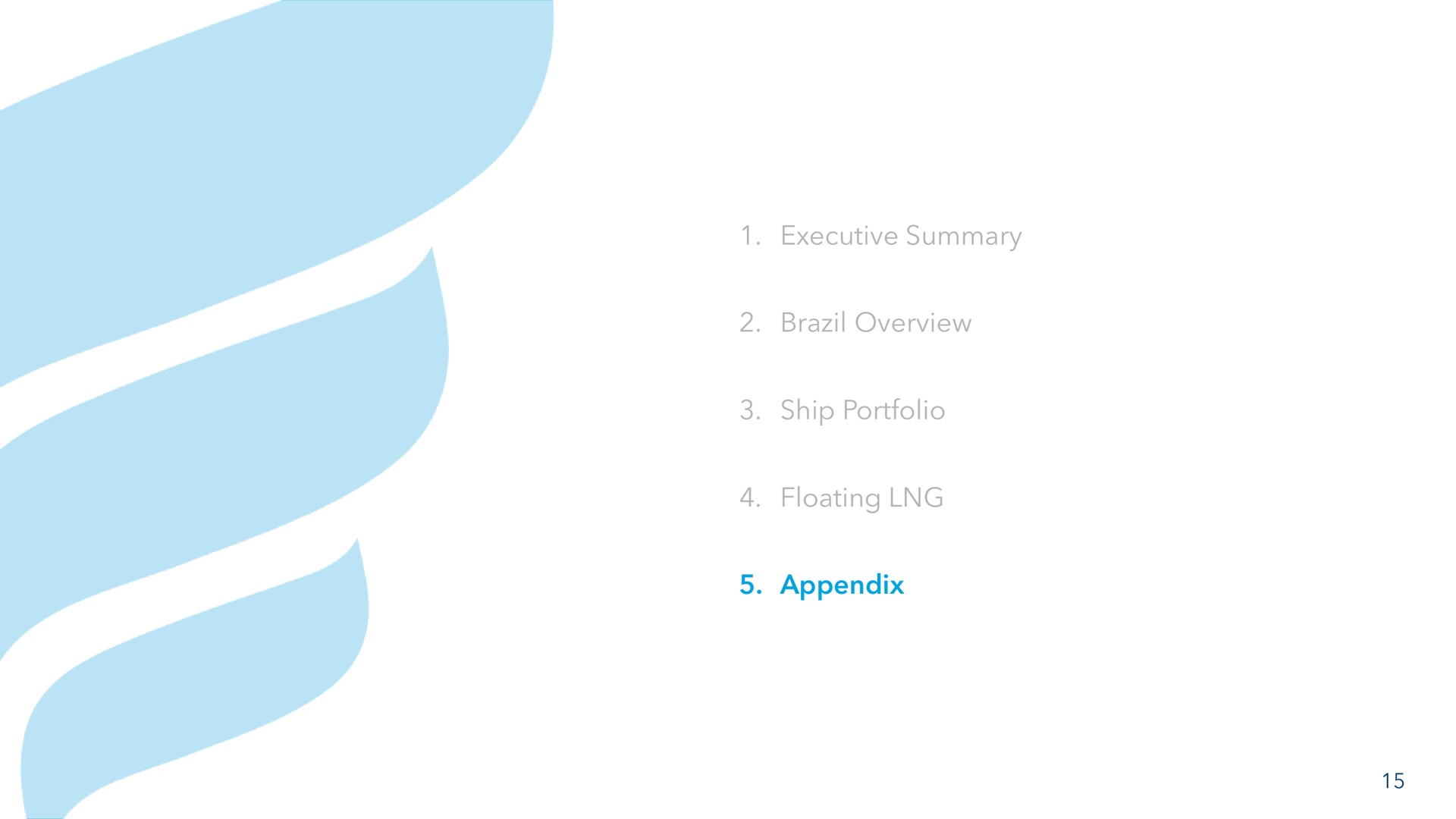 executive summary brazil overview ship portfolio floating appendix | NewFortress Energy