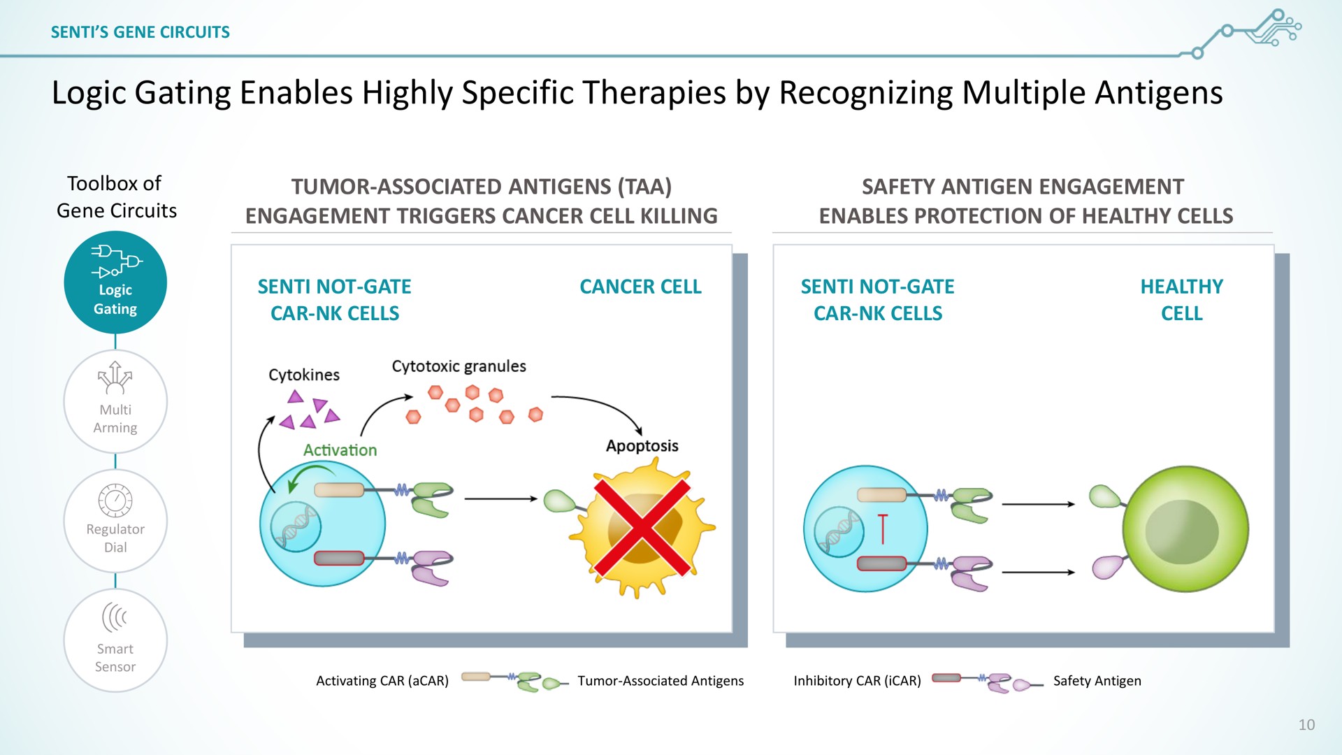 logic gating enables highly specific therapies by recognizing multiple antigens toolbox of tumor associated taa safety antigen engagement an | SentiBio
