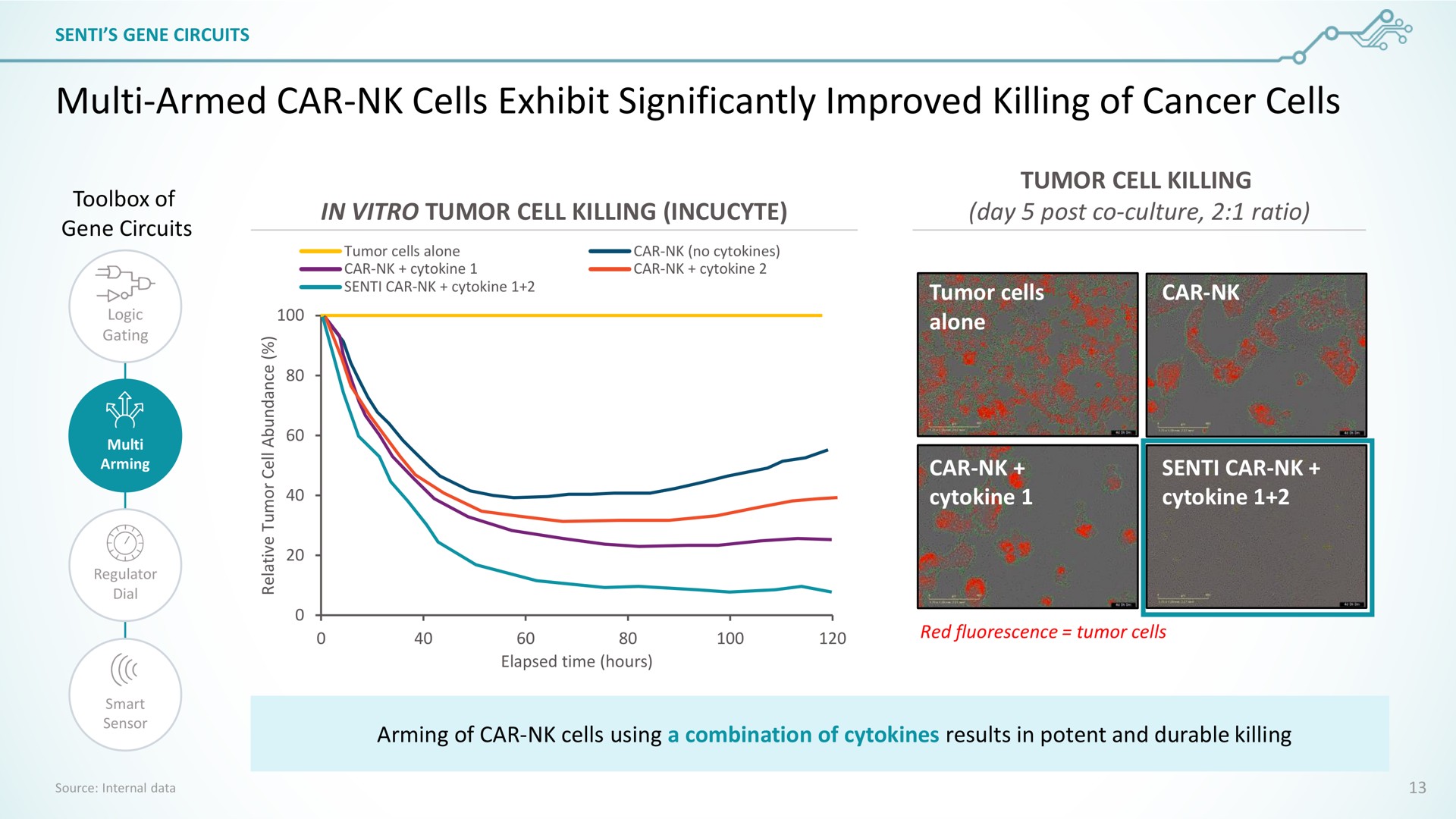 armed car cells exhibit significantly improved killing of cancer cells a in tumor cell day post culture ratio i | SentiBio