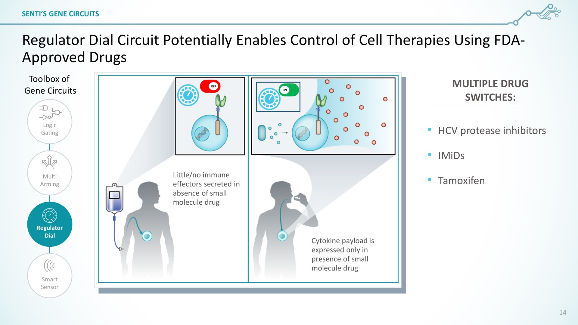 regulator dial circuit potentially enables control of cell therapies using approved drugs | SentiBio