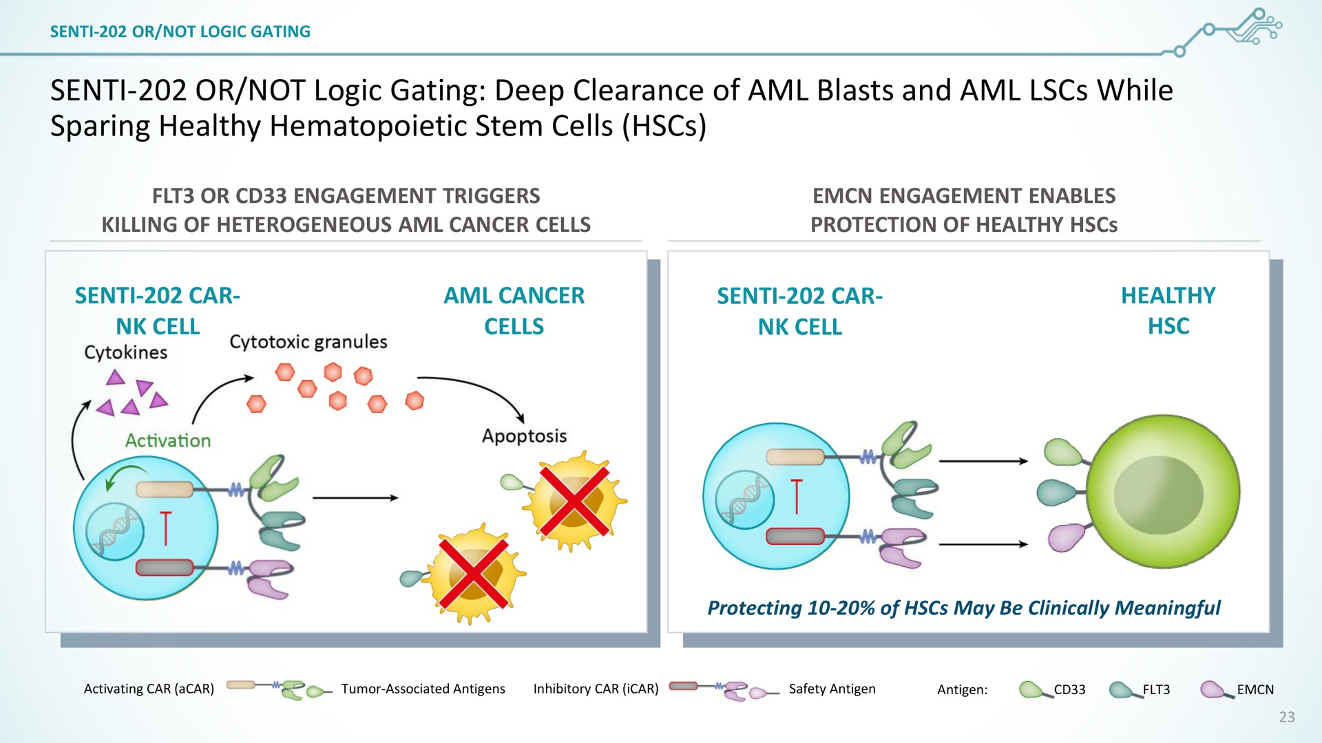 senti or not logic gating deep clearance of blasts and while sparing healthy hematopoietic stem cells a | SentiBio