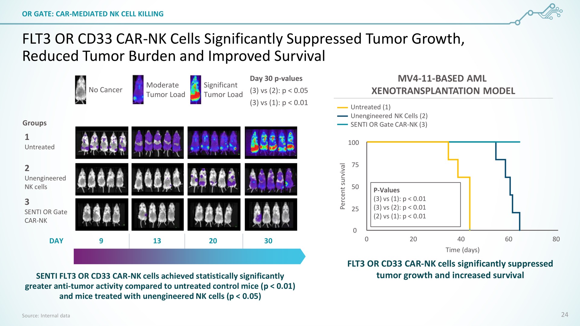 or car cells significantly suppressed tumor growth reduced tumor burden and improved survival cancer bice model | SentiBio