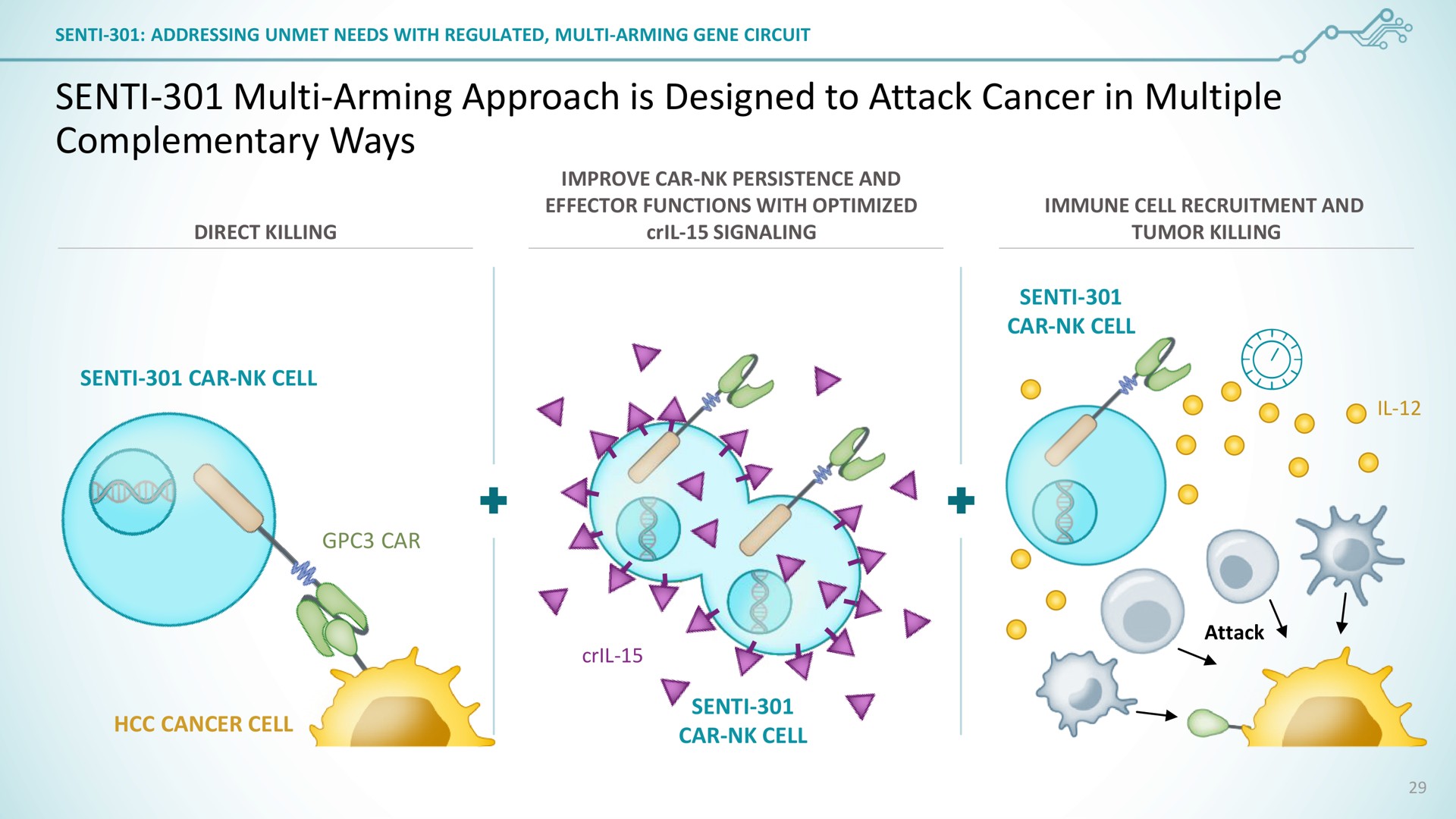 senti arming approach is designed to attack cancer in multiple complementary ways car cell cell of | SentiBio