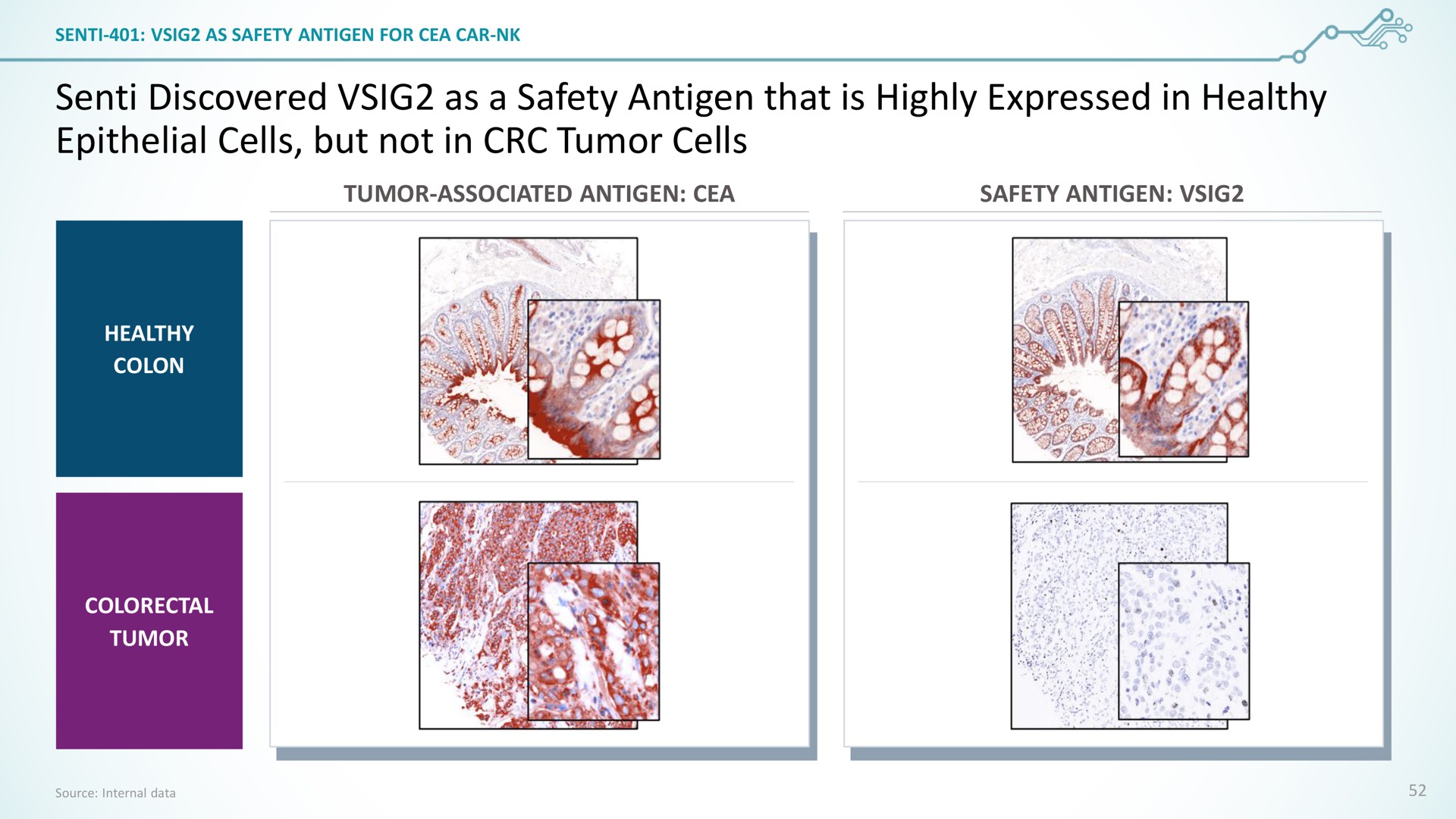 senti discovered as a safety antigen that is highly expressed in healthy epithelial cells but not in tumor cells | SentiBio