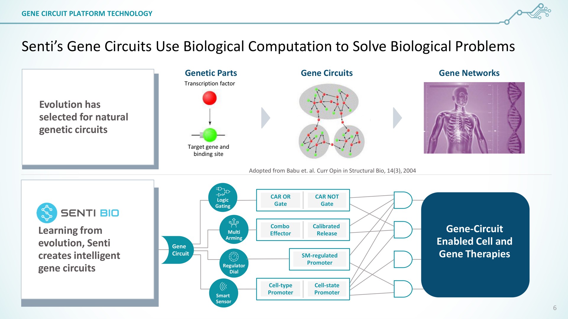 senti gene circuits use biological computation to solve biological problems evolution has creates intelligent a therapies | SentiBio