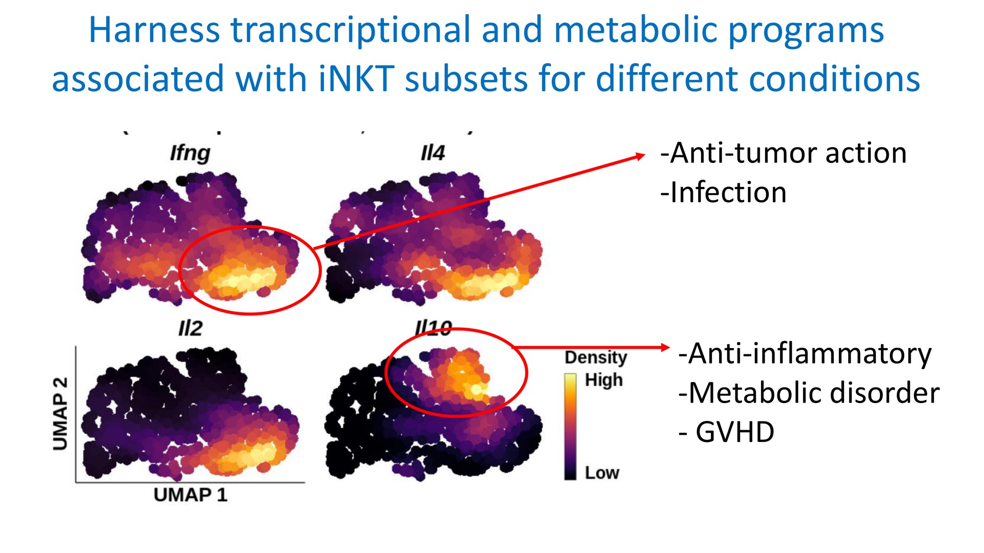 harness transcriptional and metabolic programs associated with subsets for different conditions anti tumor action infection anti inflammatory metabolic disorder | Mink Therapeutics