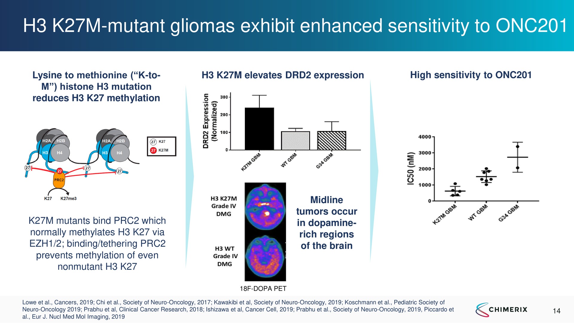 mutant gliomas exhibit enhanced sensitivity to | Chimerix