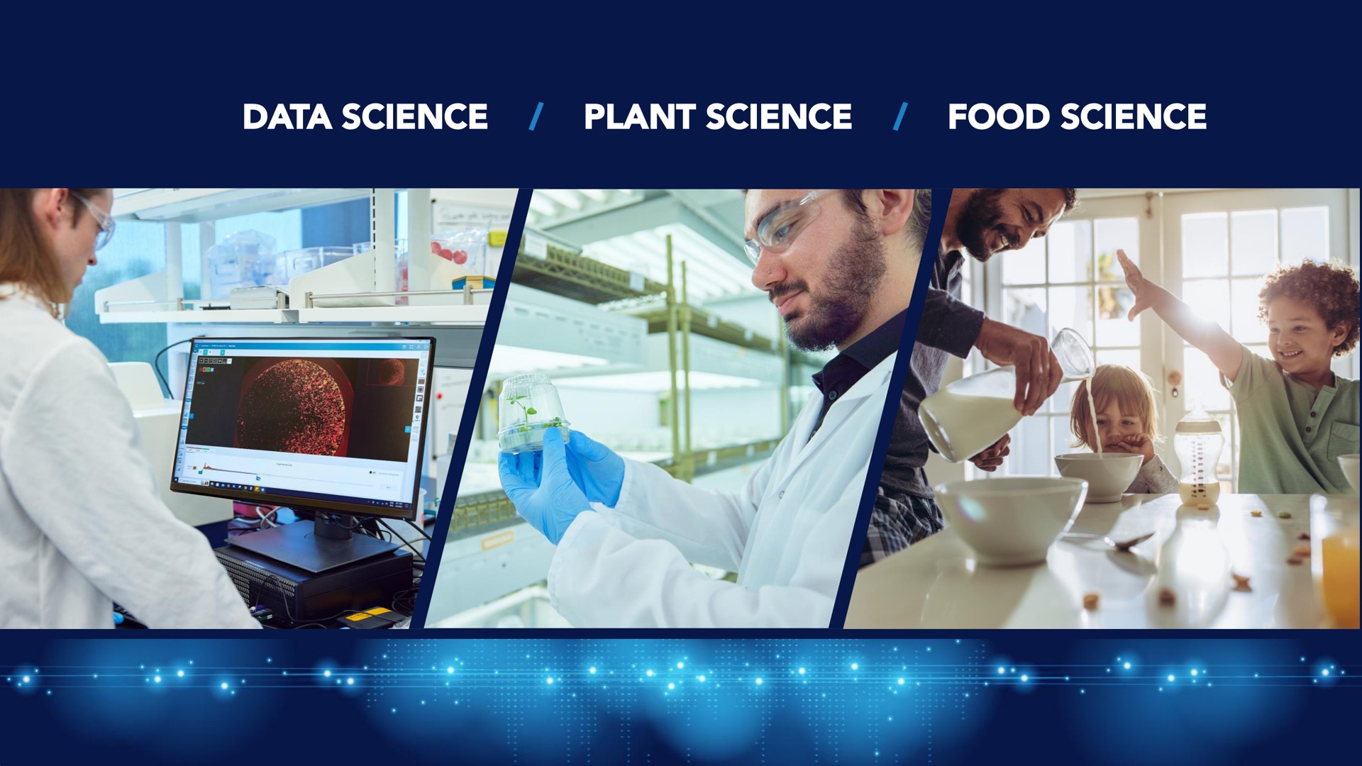 data science plant science food science | Benson Hill