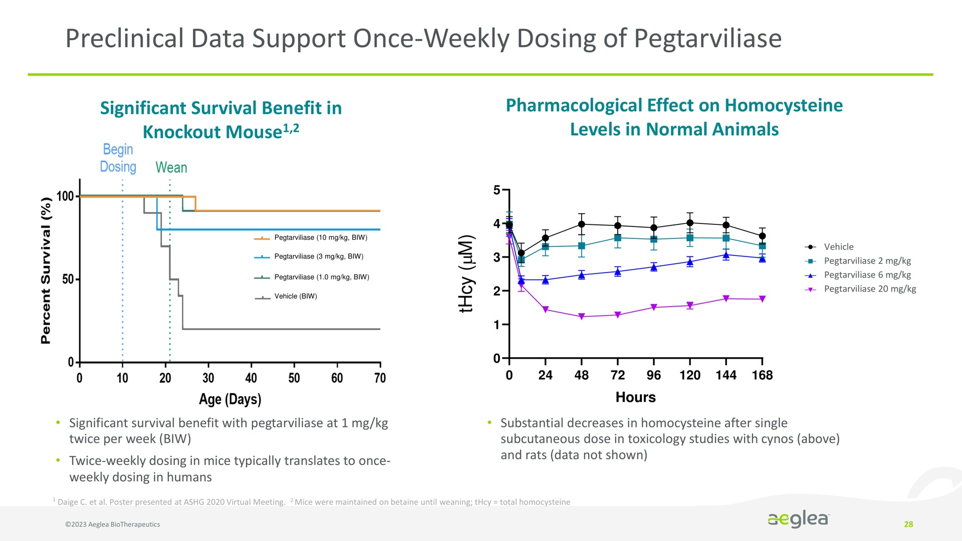 preclinical data support once weekly dosing of | Aeglea BioTherapeutics
