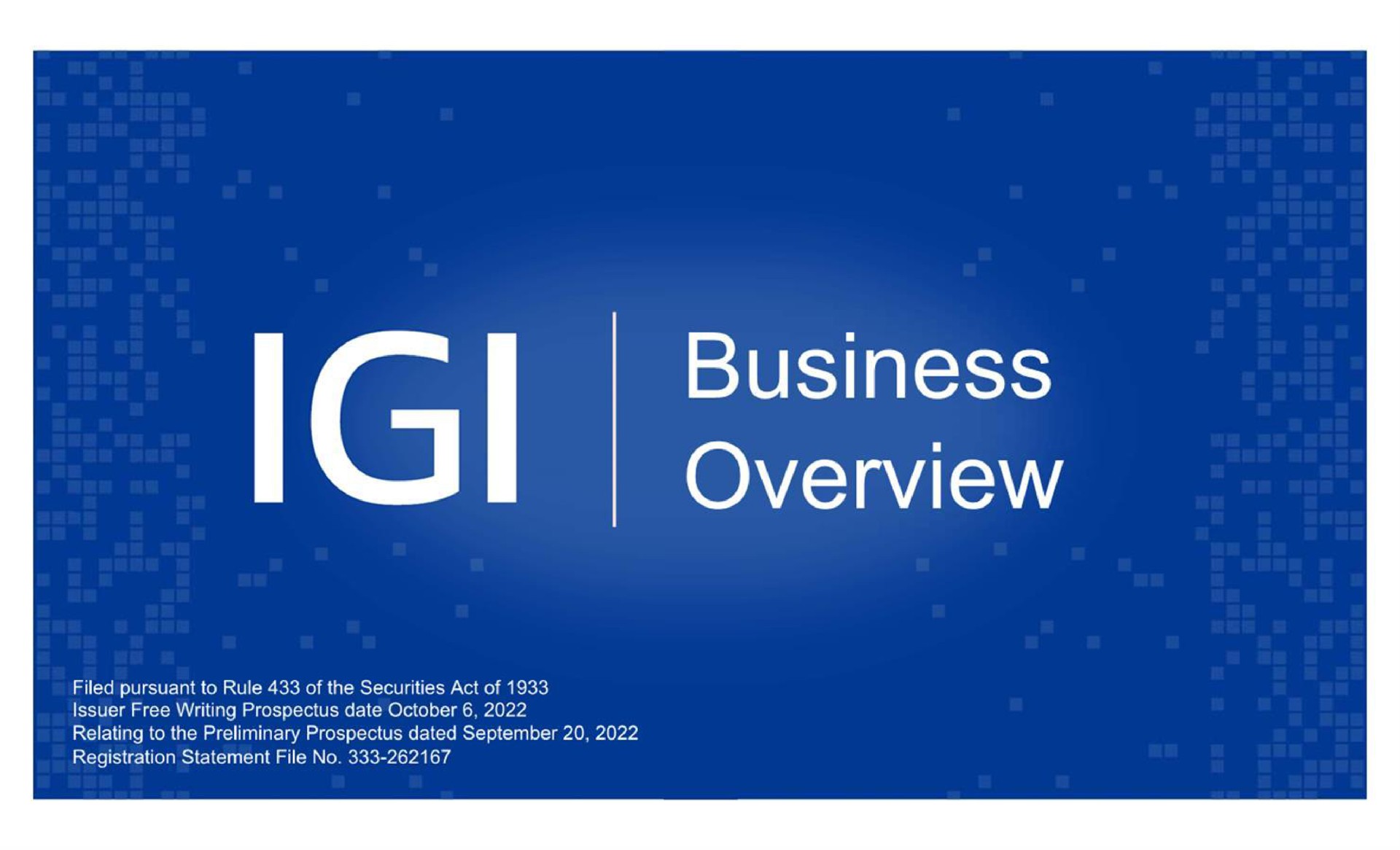 business overview | IGI