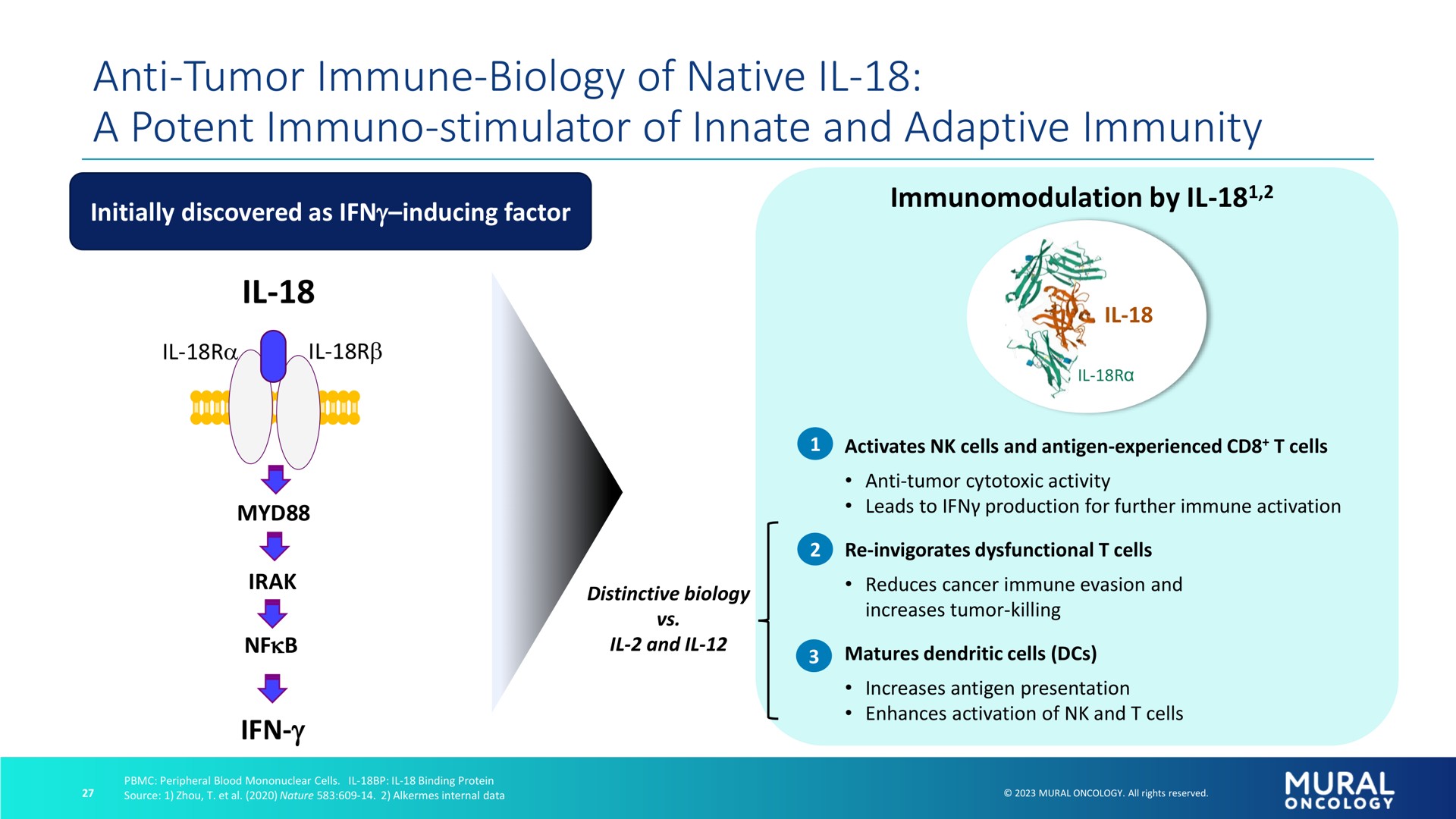 anti tumor immune biology of native a potent stimulator of innate and adaptive immunity | Alkermes