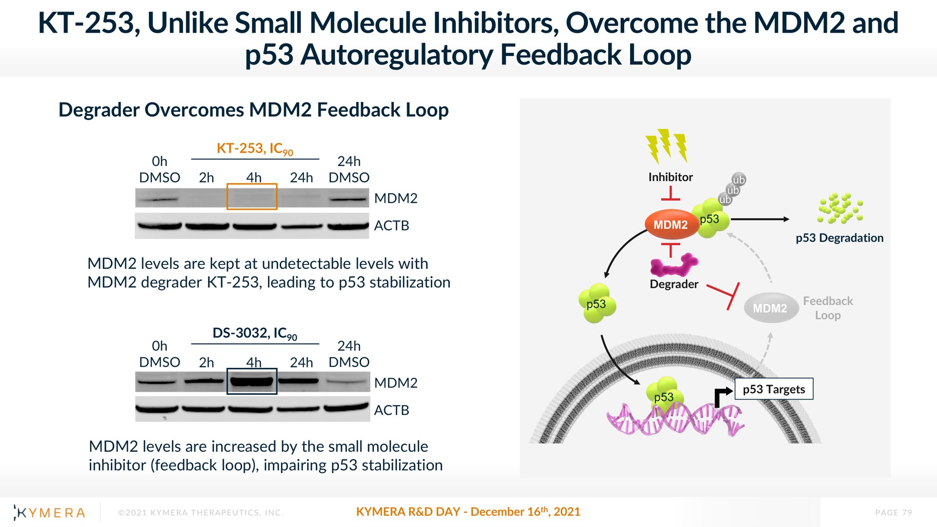 unlike small molecule inhibitors overcome the and feedback loop | Kymera