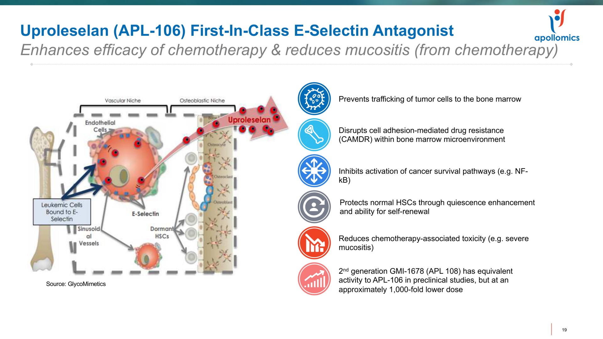 first in class antagonist enhances efficacy of chemotherapy reduces from chemotherapy | Apollomics